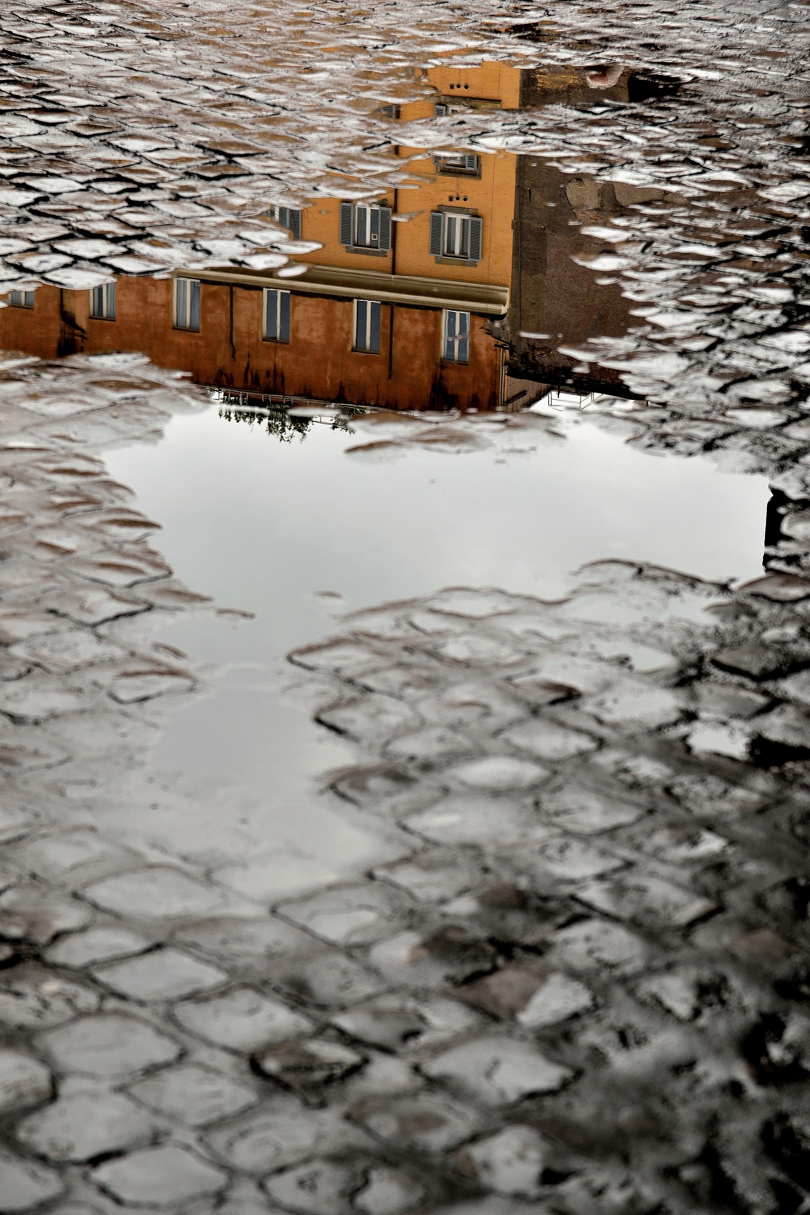 insolito punto di vista