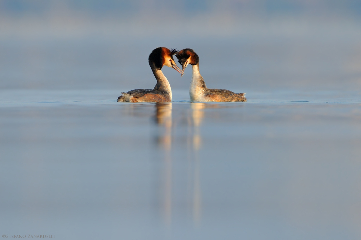 The time of love ...