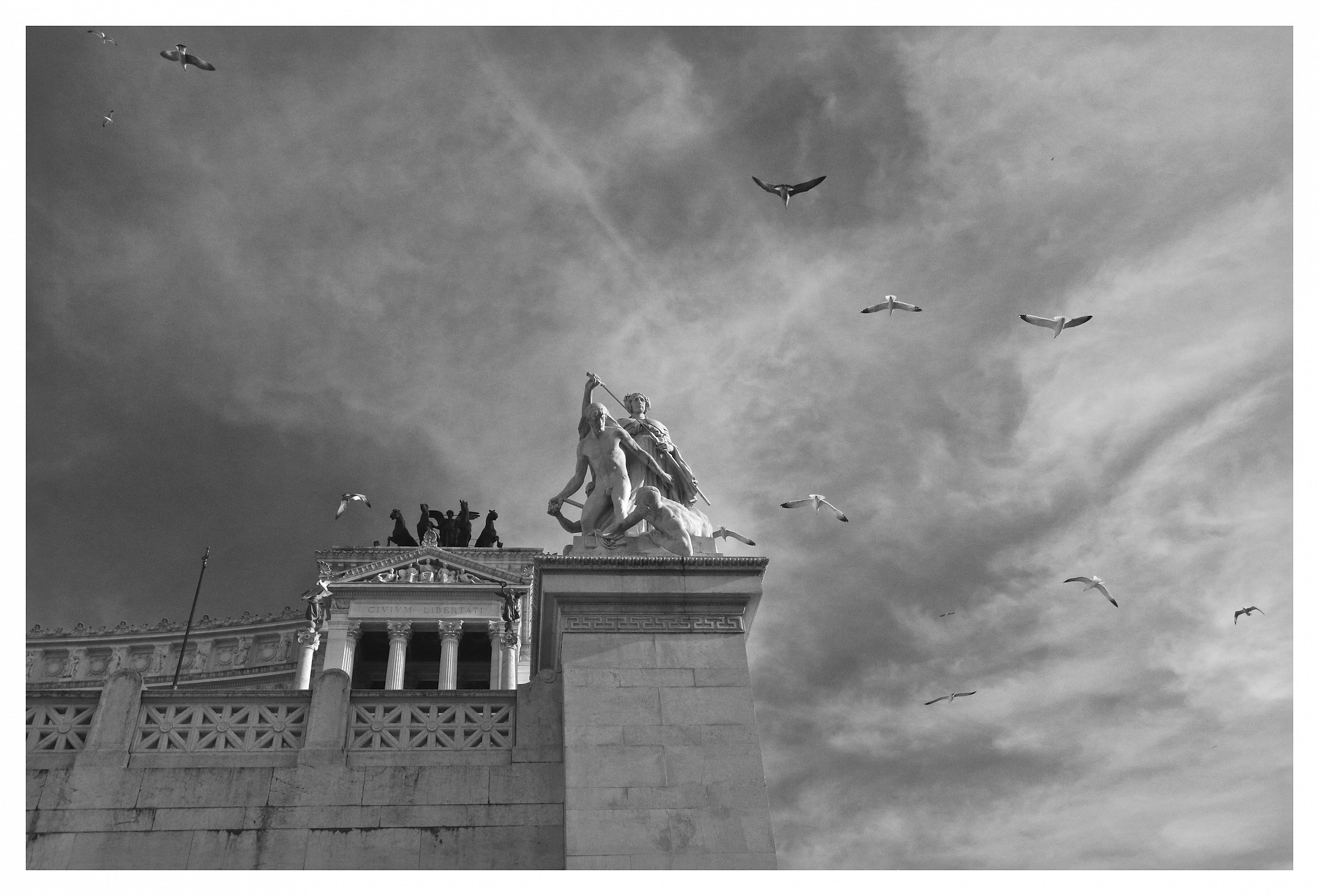 Uccellini e uccellacci