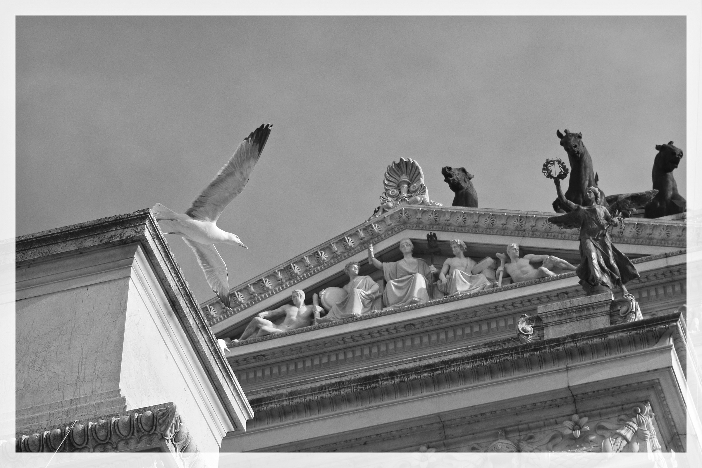 un condomino dei piani alti