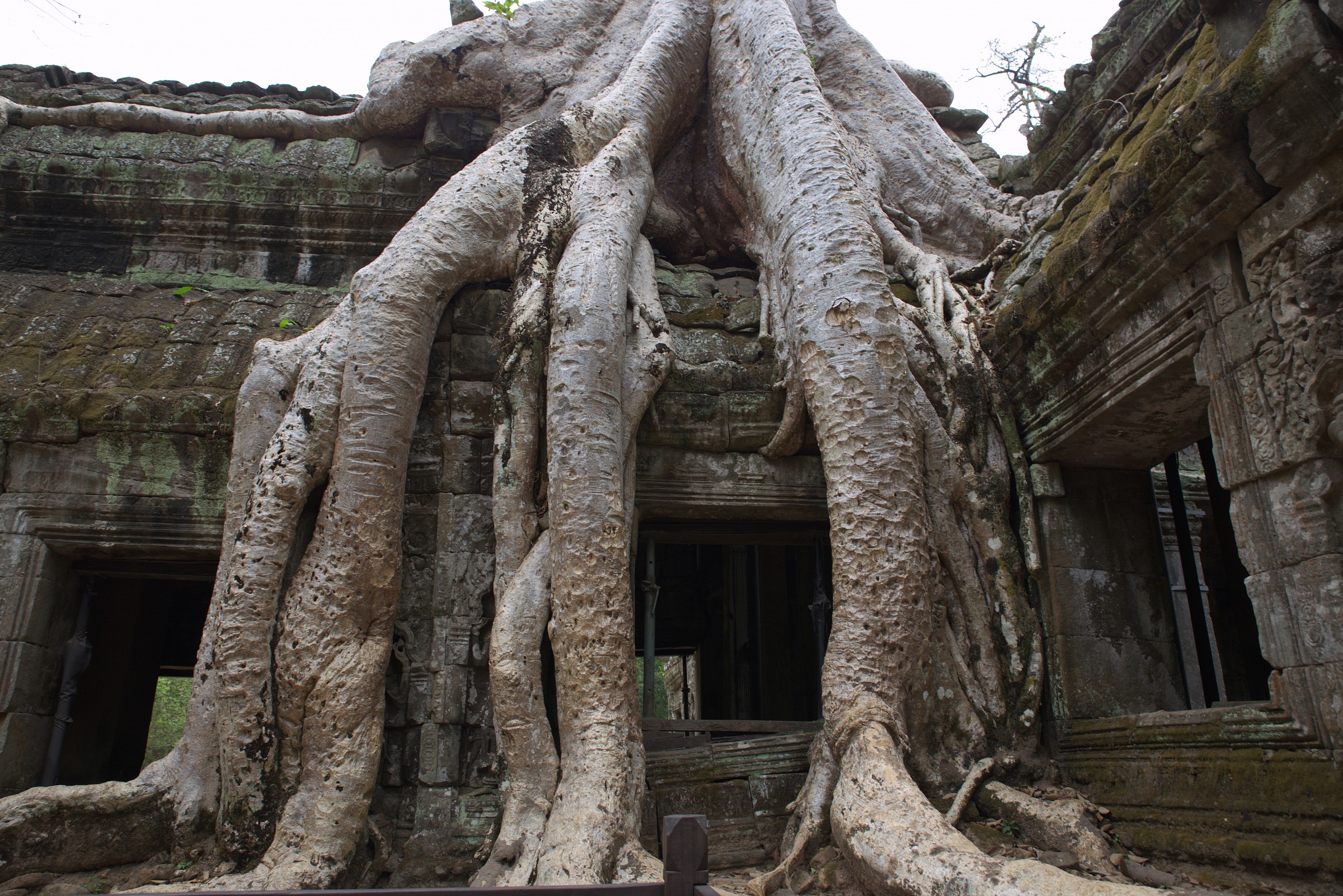Cambodia - Angkor Wat