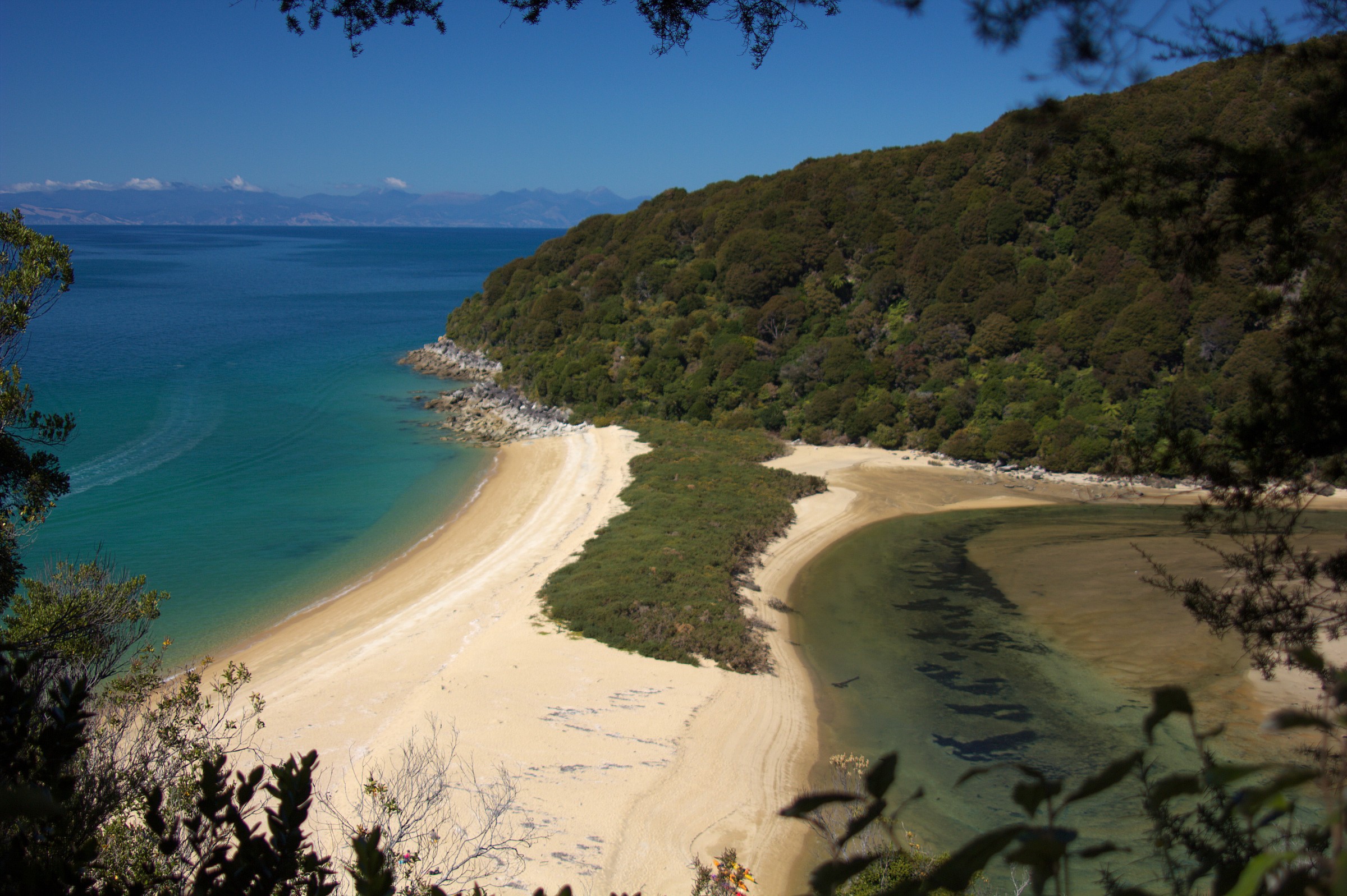 Spiaggia sul Qeen Charlotte Track  - n.z.-