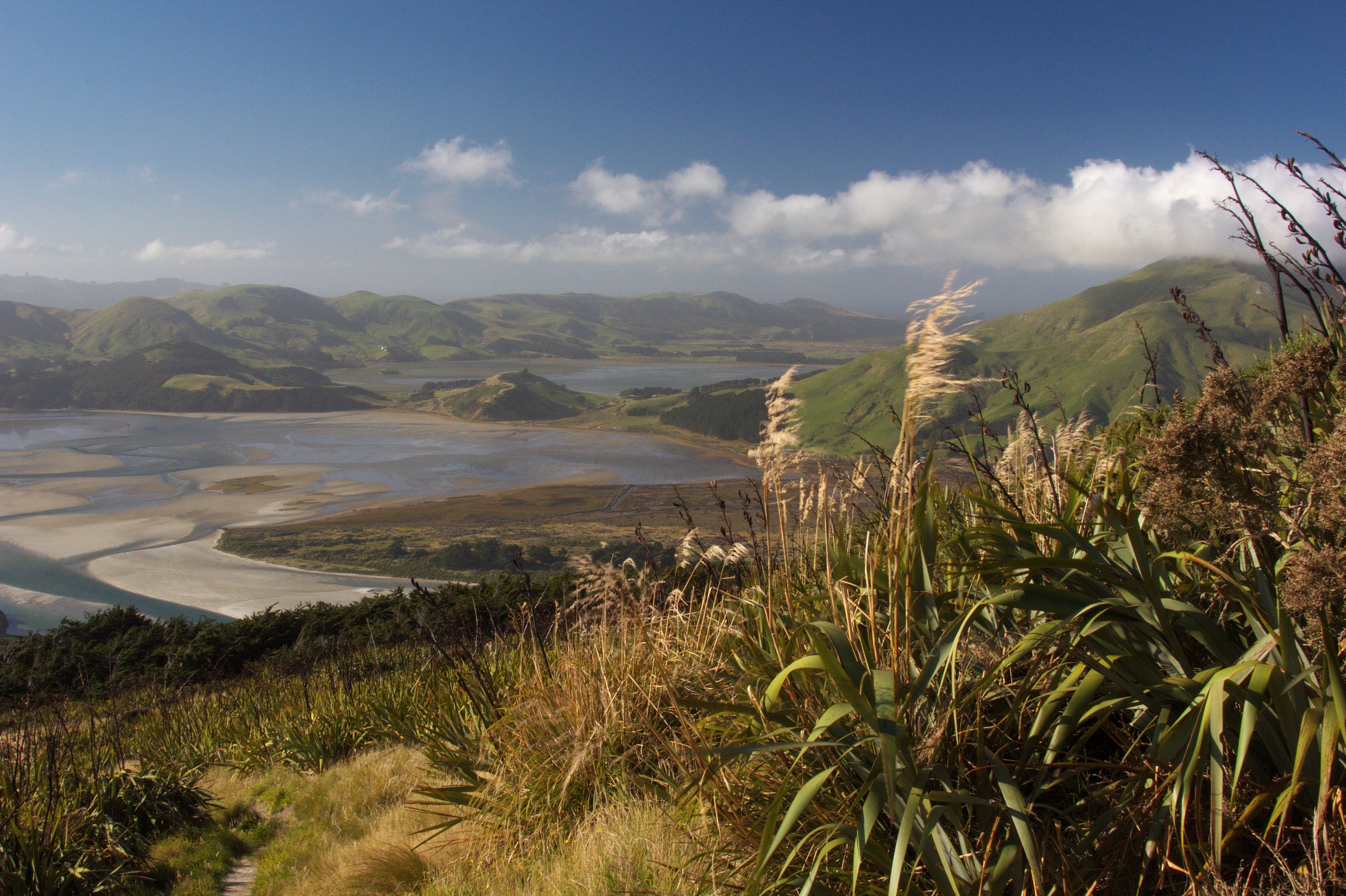 N.Zelanda  -Panorama