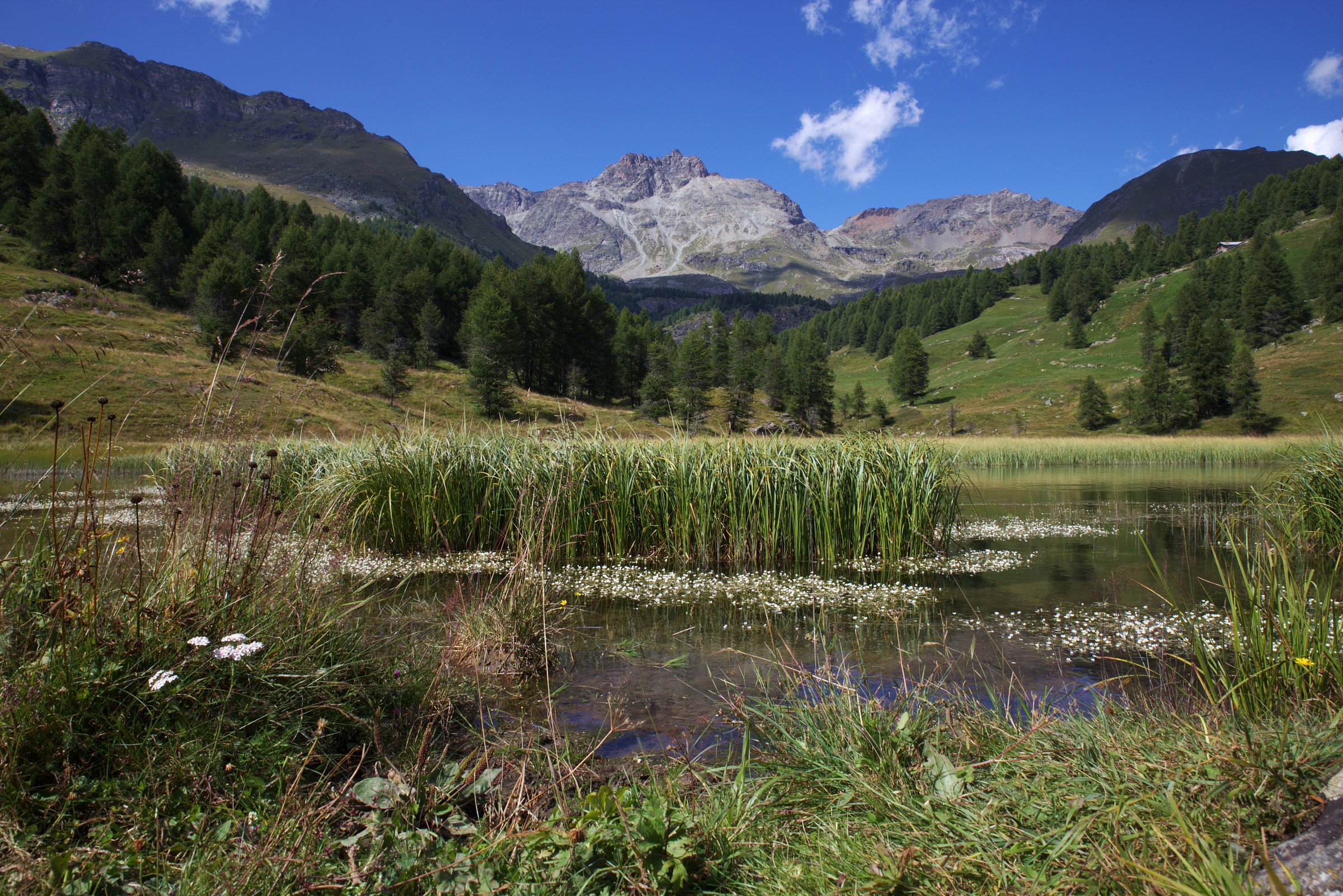 Valle Aosta - Torgnon