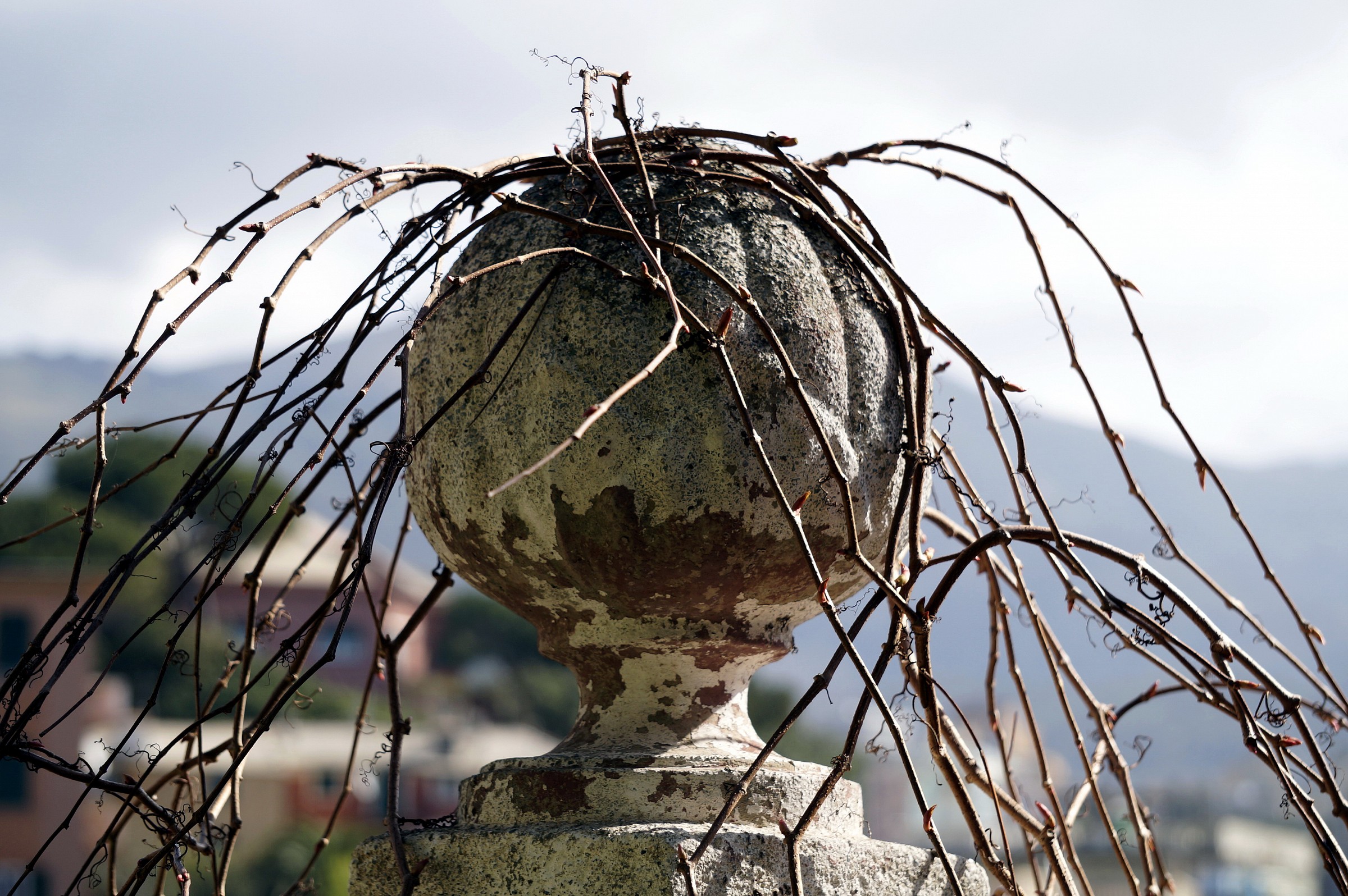 Devo andare dal barbiere