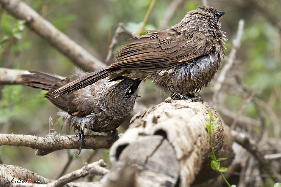 Both the increase did not you do it ....