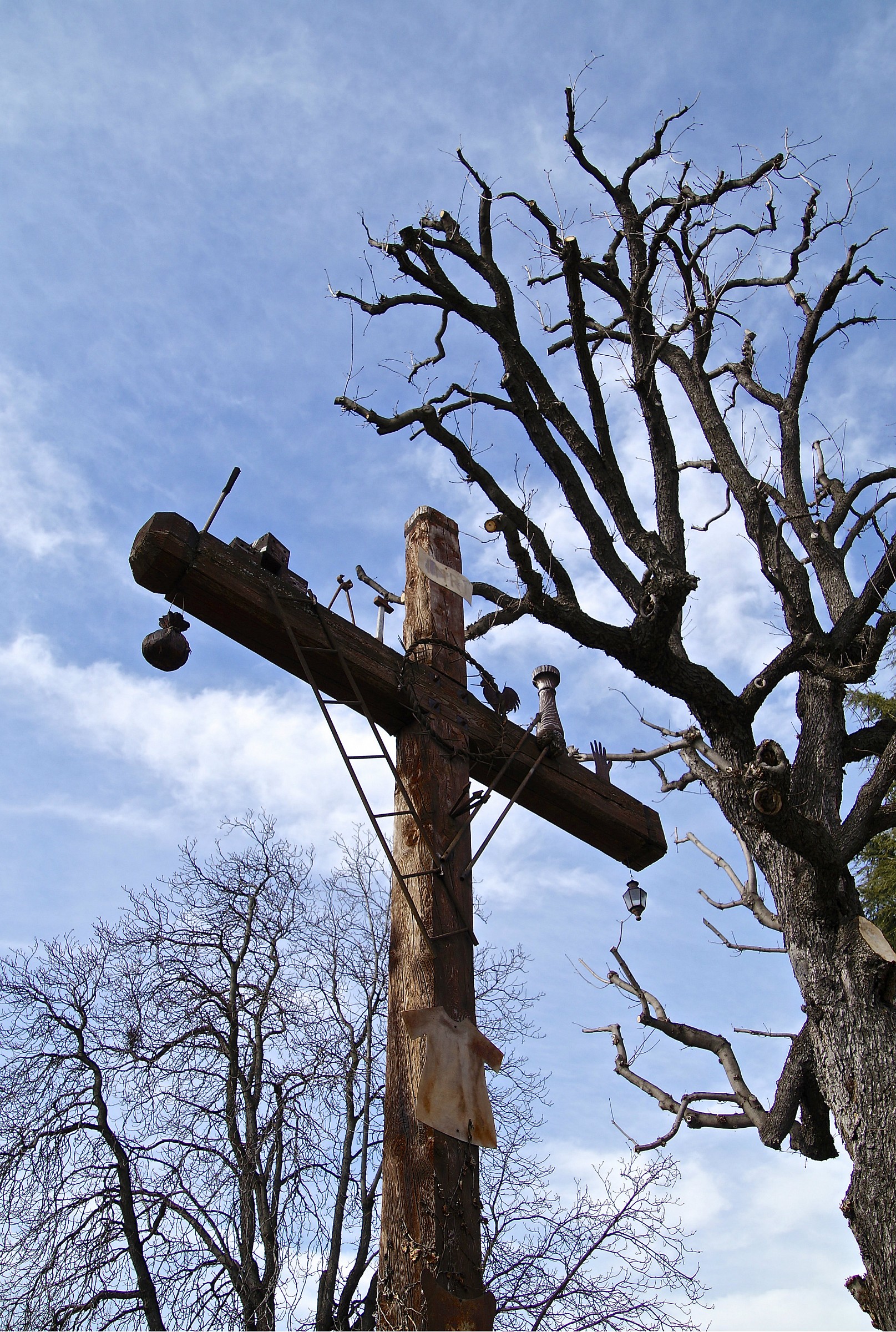 Many simboli..un only persecuted.