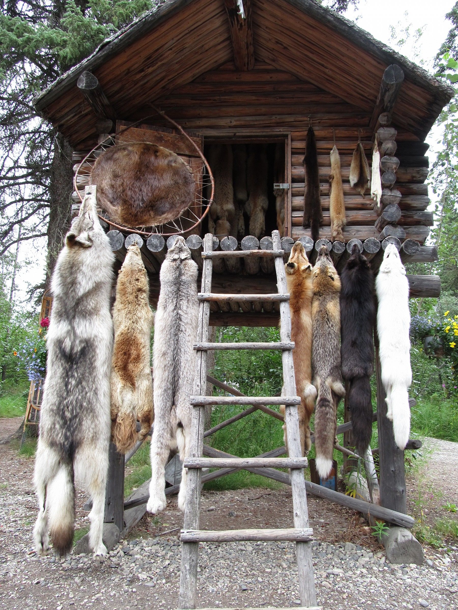 Alaska - Boutique per signore