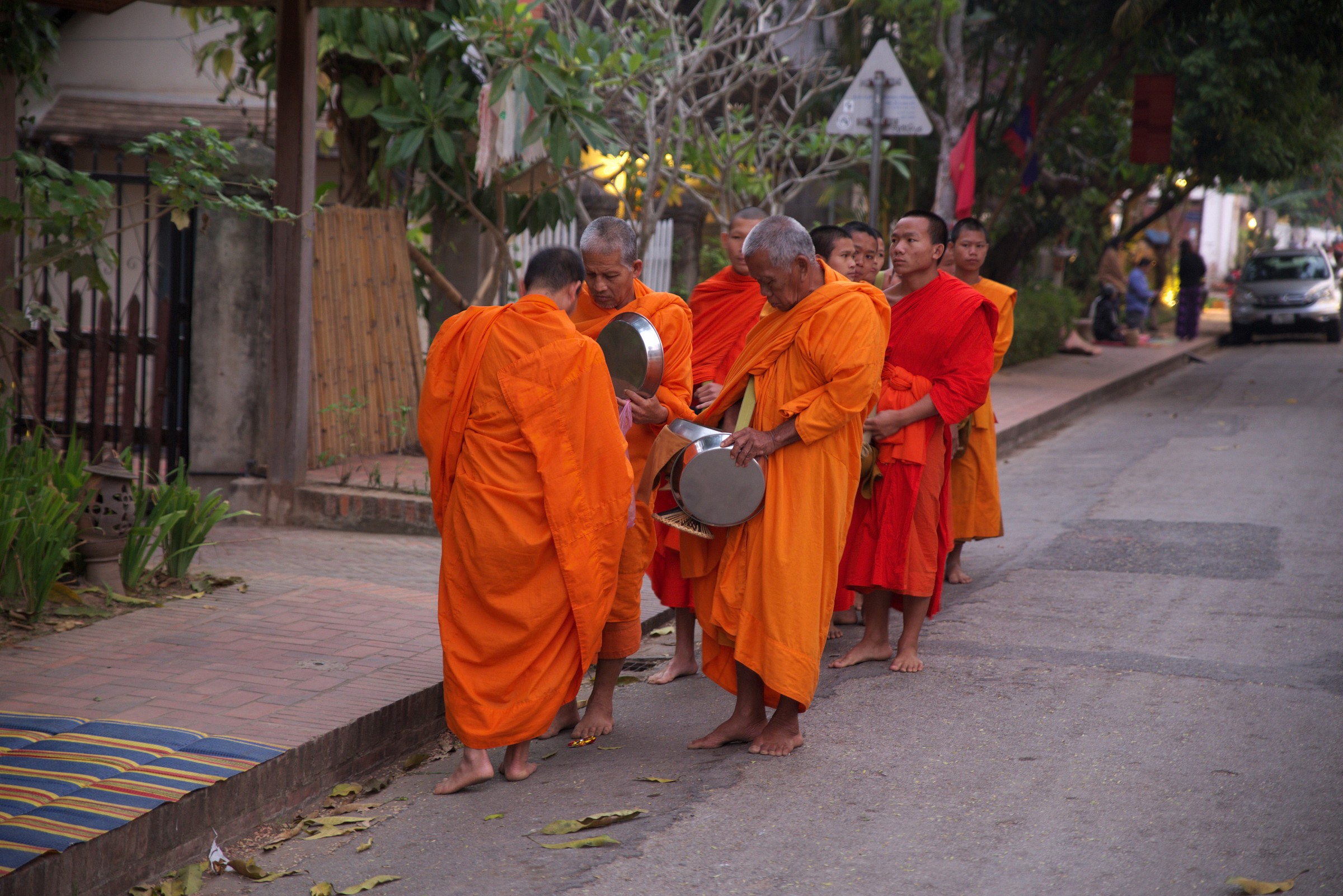 Laos - Questua mattutina a Luang Prabang