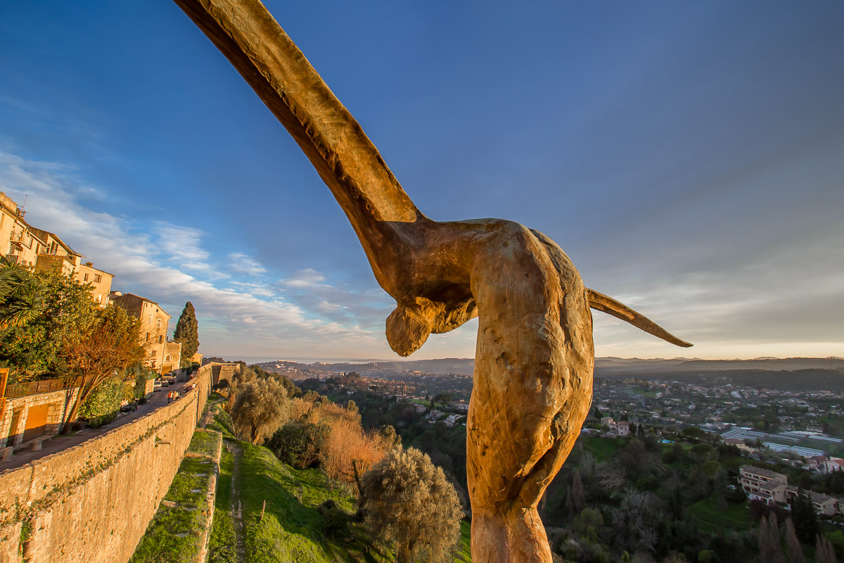 Homme oiseau le jour