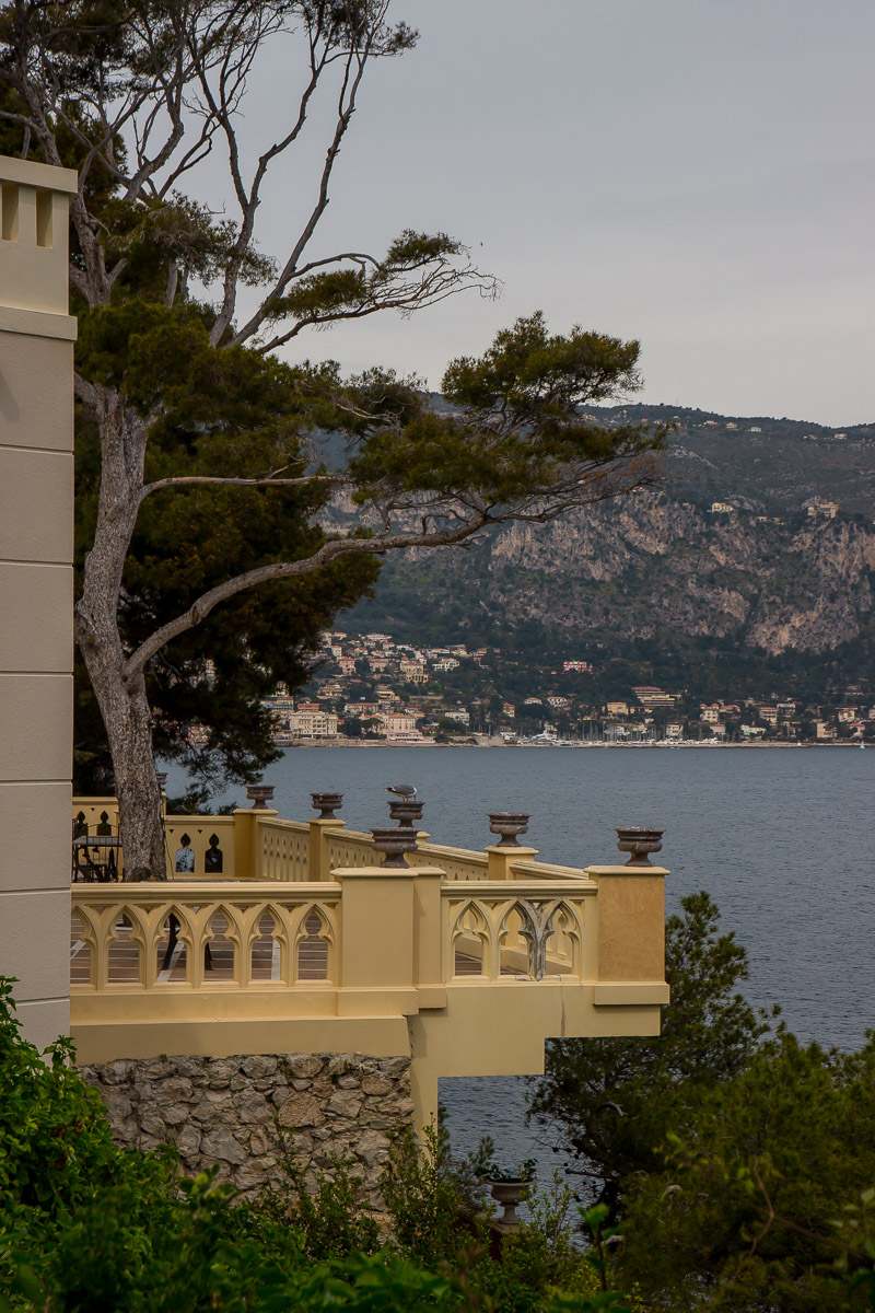 Il terrazzo attorno all'albero
