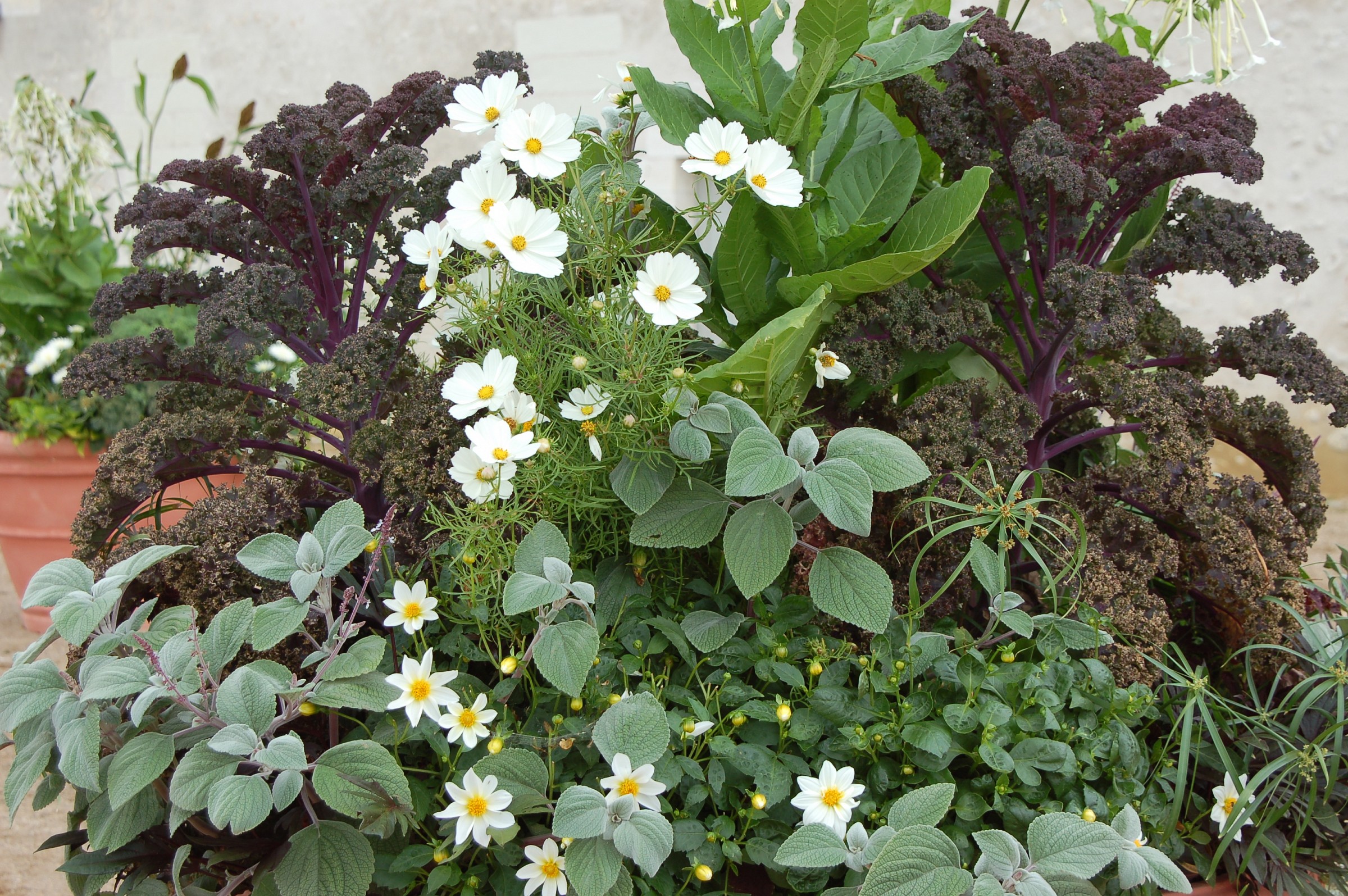 blois e La Ville con fiori