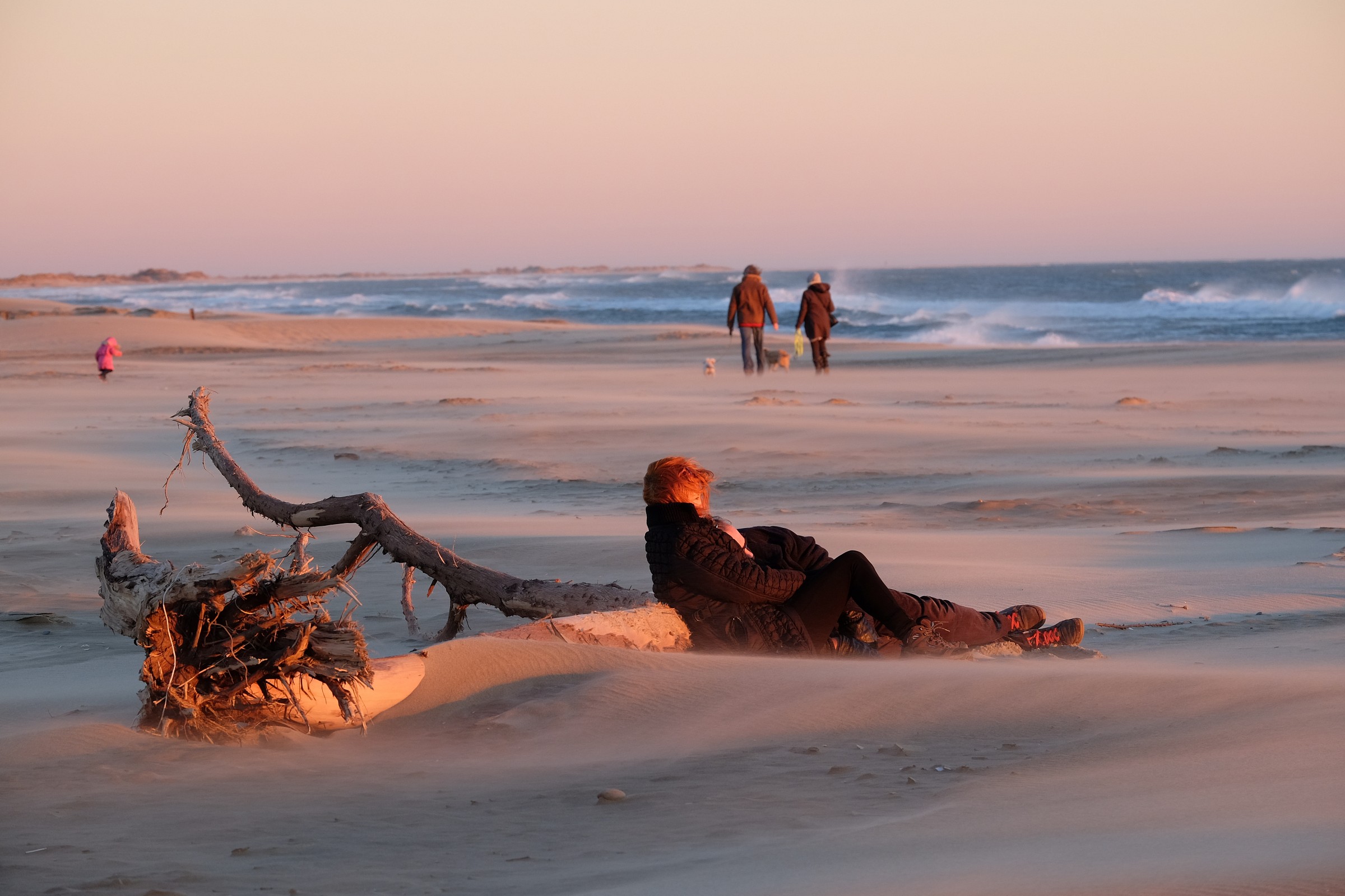 Camargue_gennaio2015_vento teso2