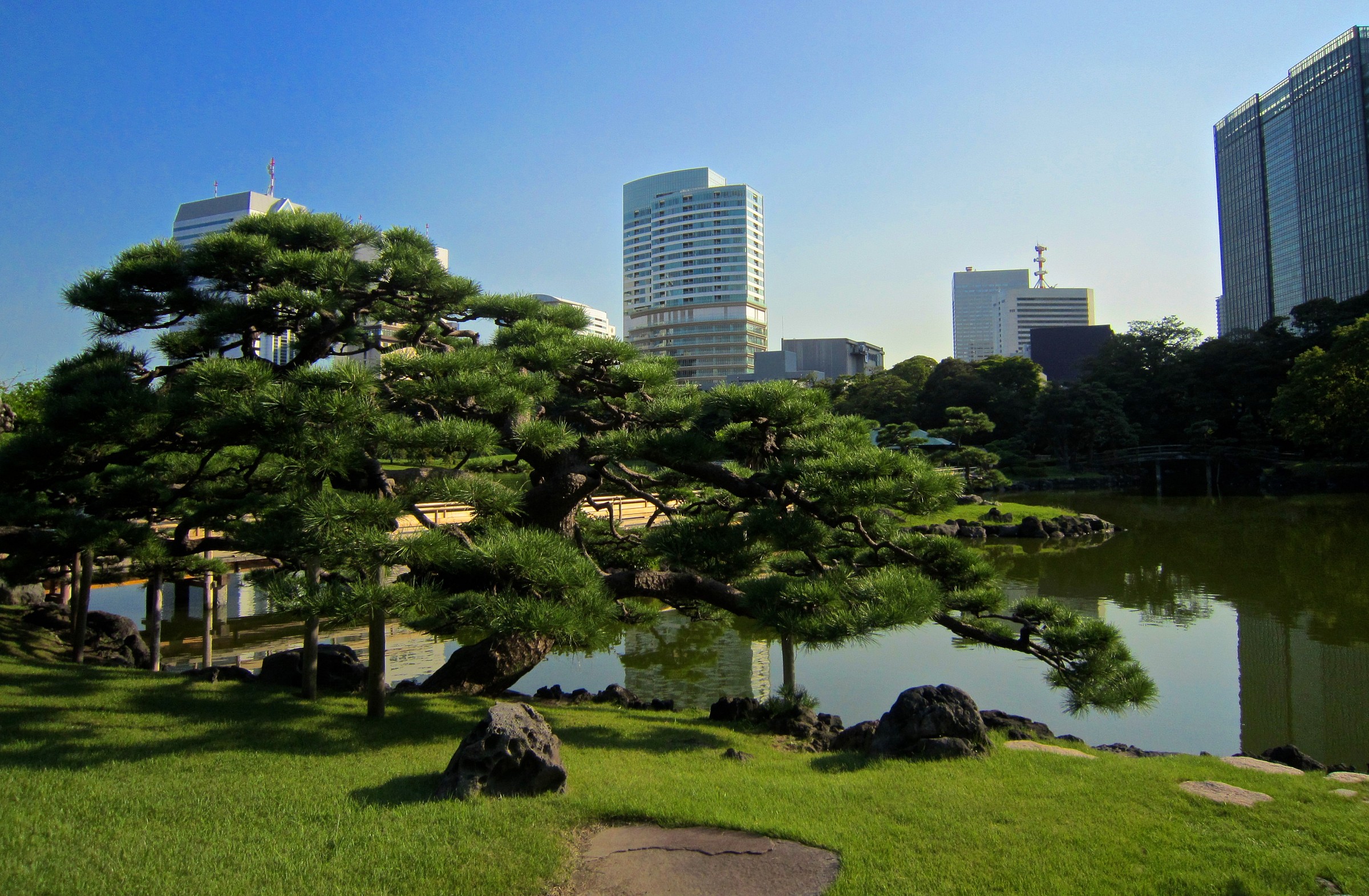 Tokyo, park in the city