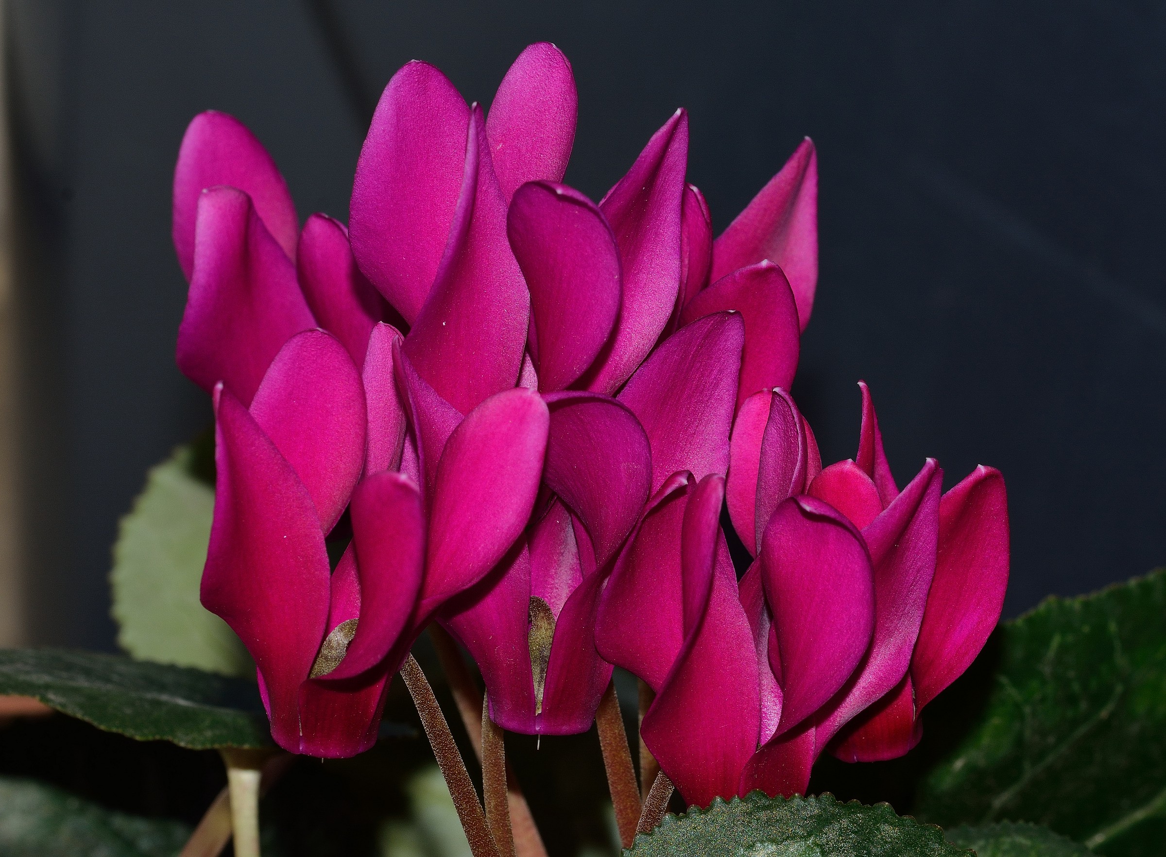 Stiamo vicini vicini