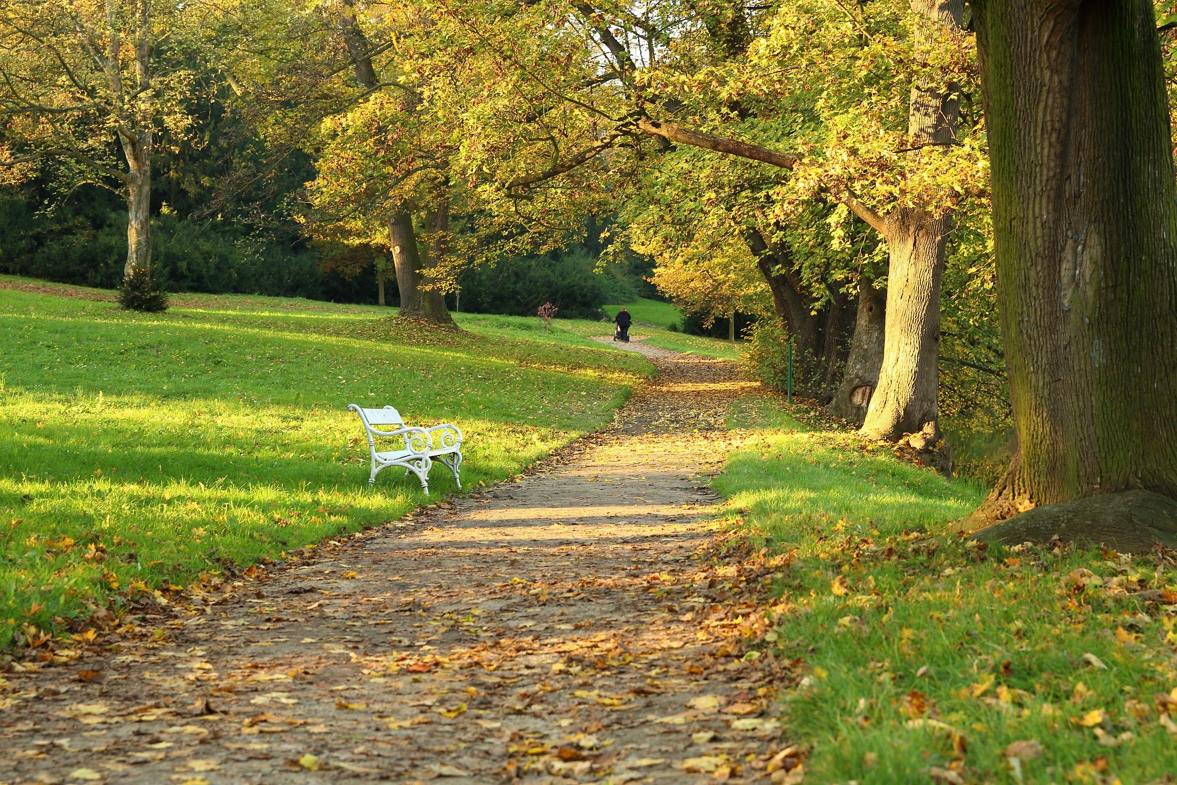 The bench in castle park