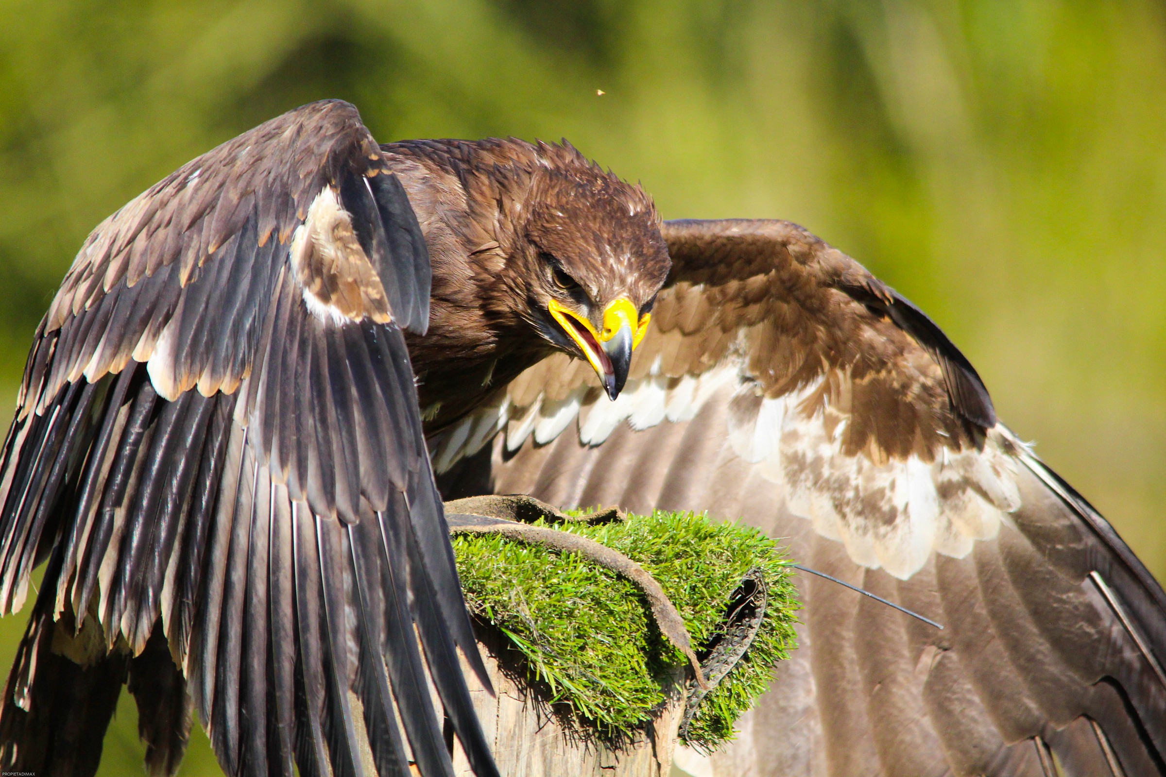All' Oasi di Sant' Alessio