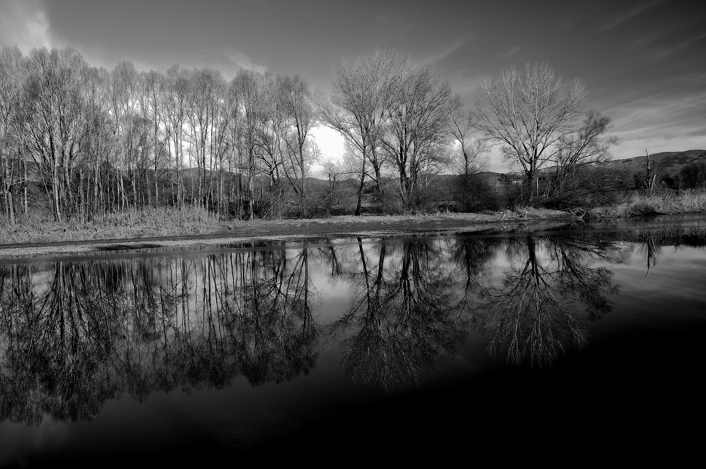 Reflections in black and white