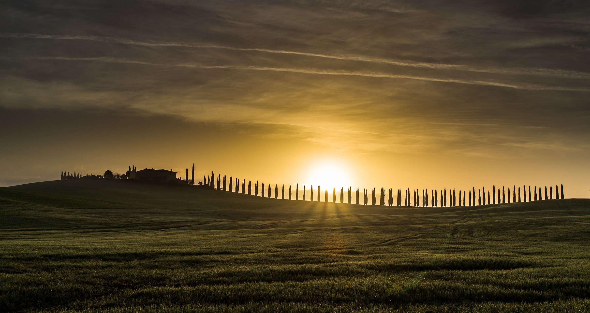 Tuscan Dawn