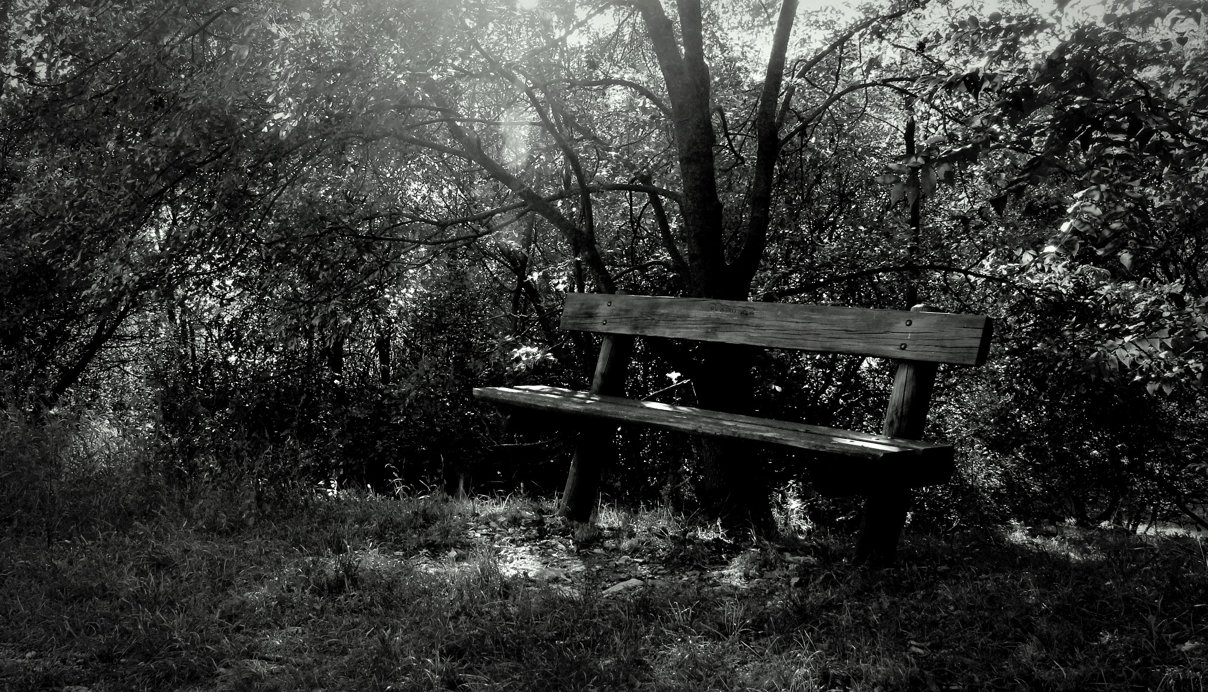 The bench of Secrets