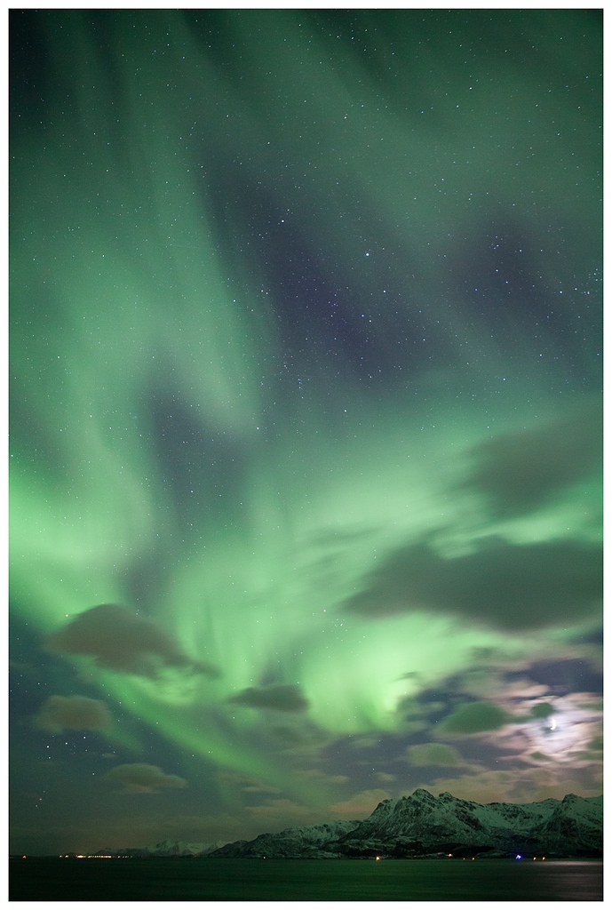 Lofoten Lights [iii]