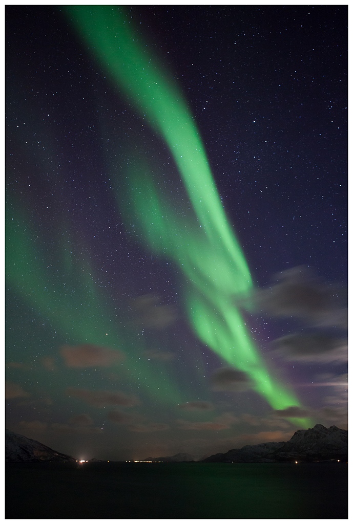 Lofoten Lights [V]
