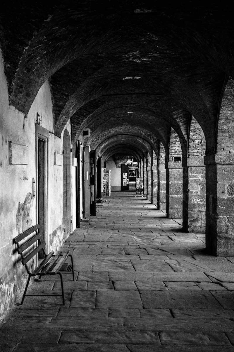 Contaminazione urbana