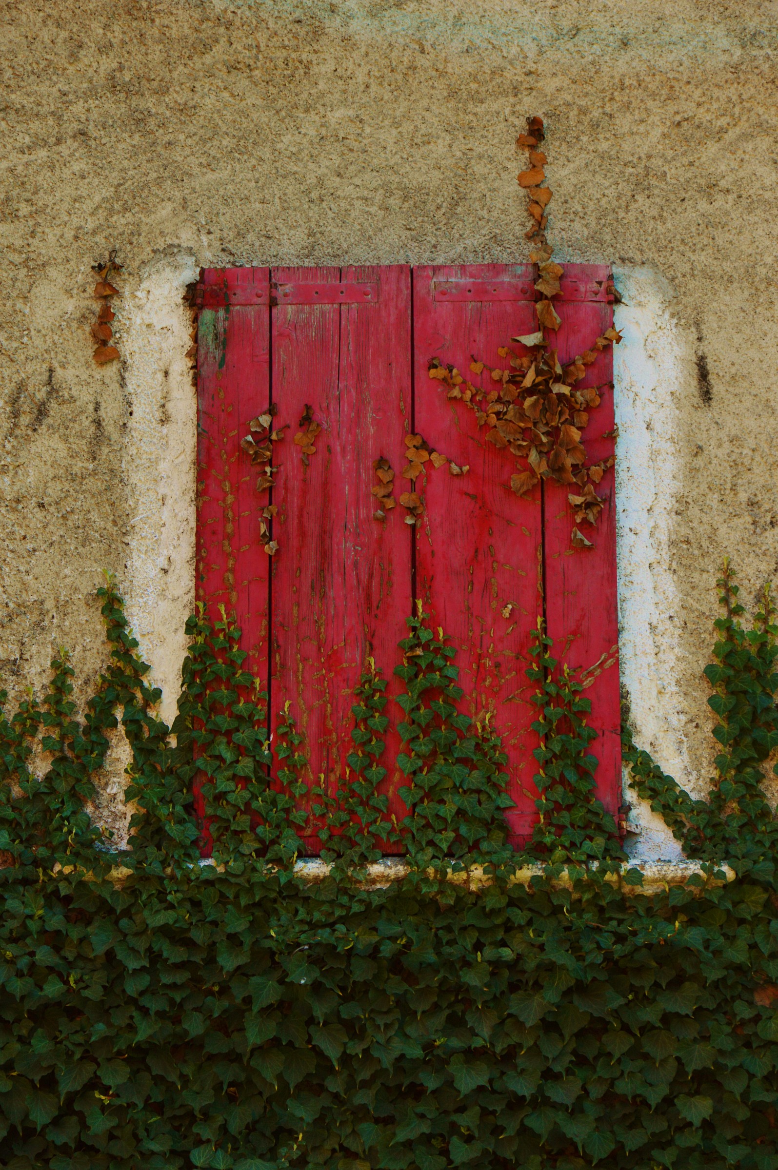 closed for a while '