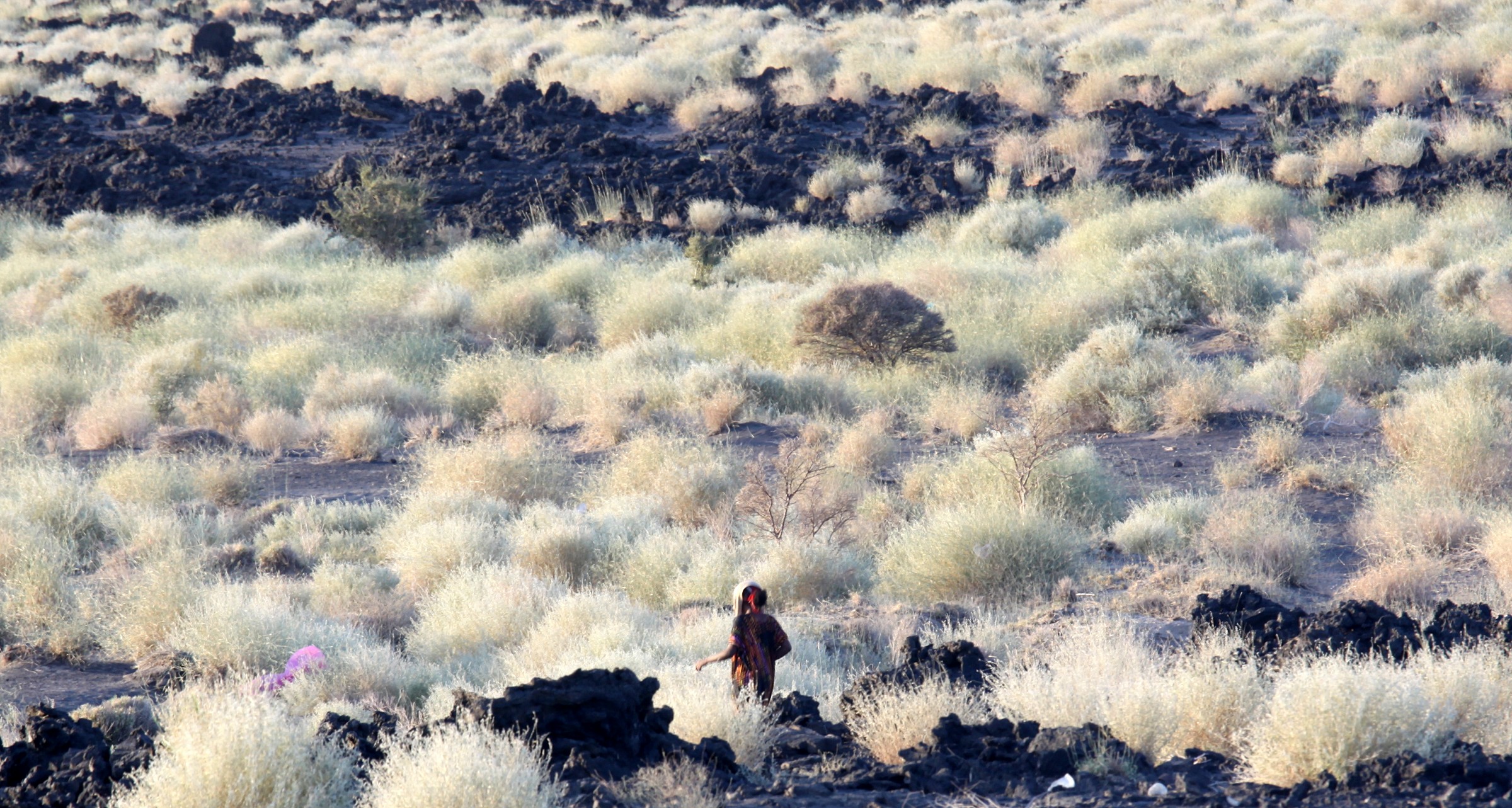 Based volcano Erta Ale