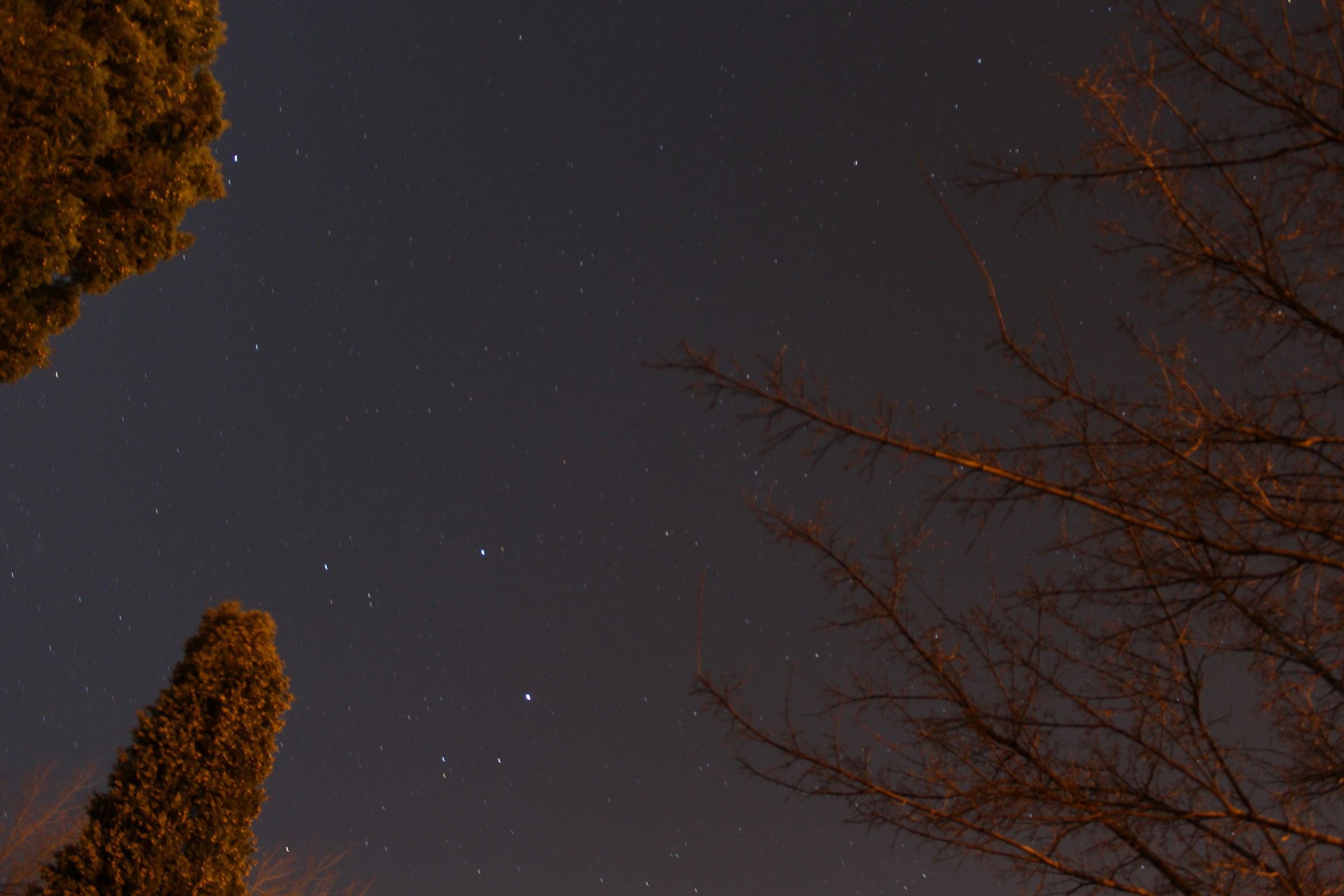 The first starry spring