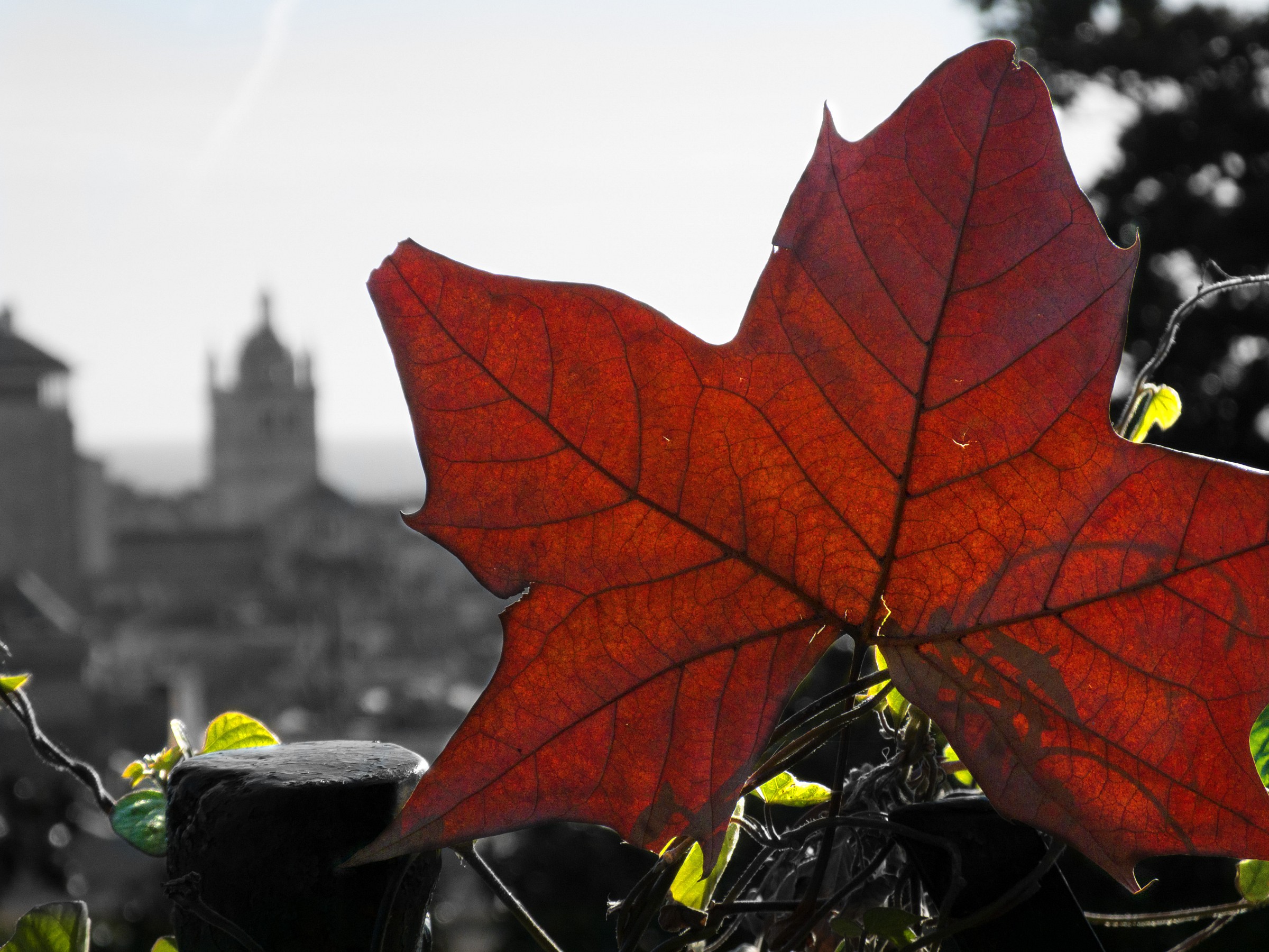 Ciao inverno...benvenuta primavera