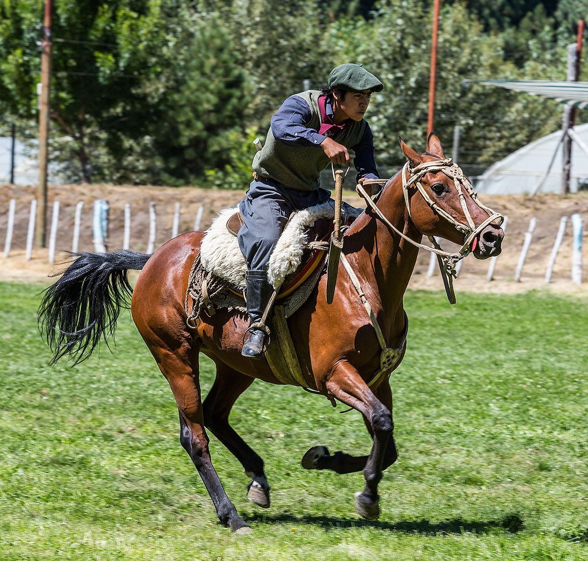 Dia del joven gaucho