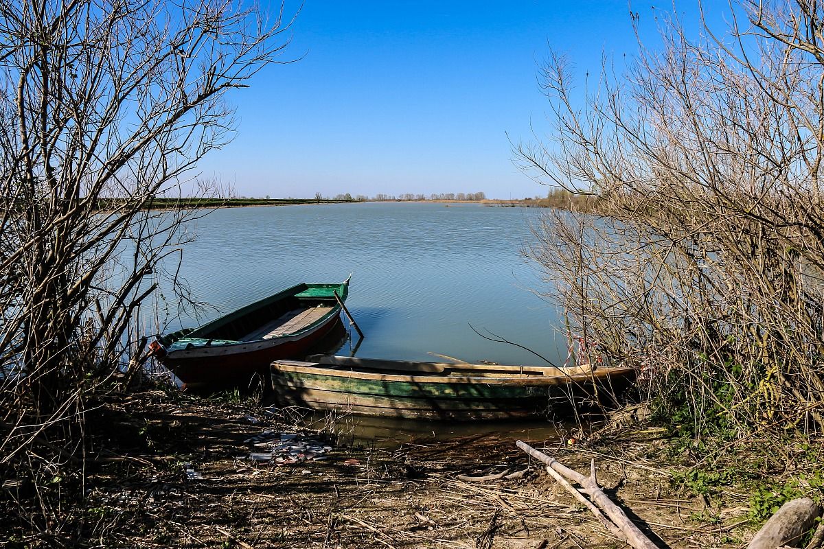 Il fiume Po e il suo Delta - Sacca di Scardovari