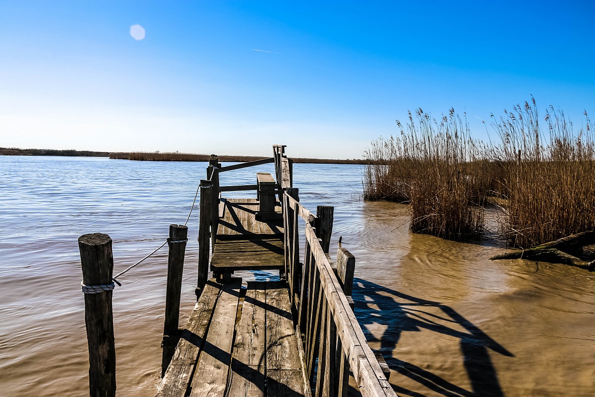 The river Po and its Delta - Sacca Scardovari