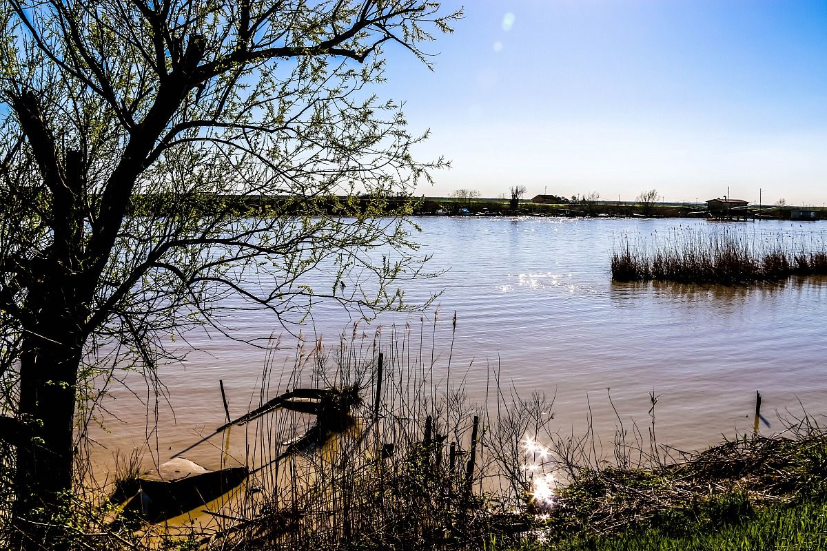 Il fiume Po e il suo Delta - Sacca di Scardovari