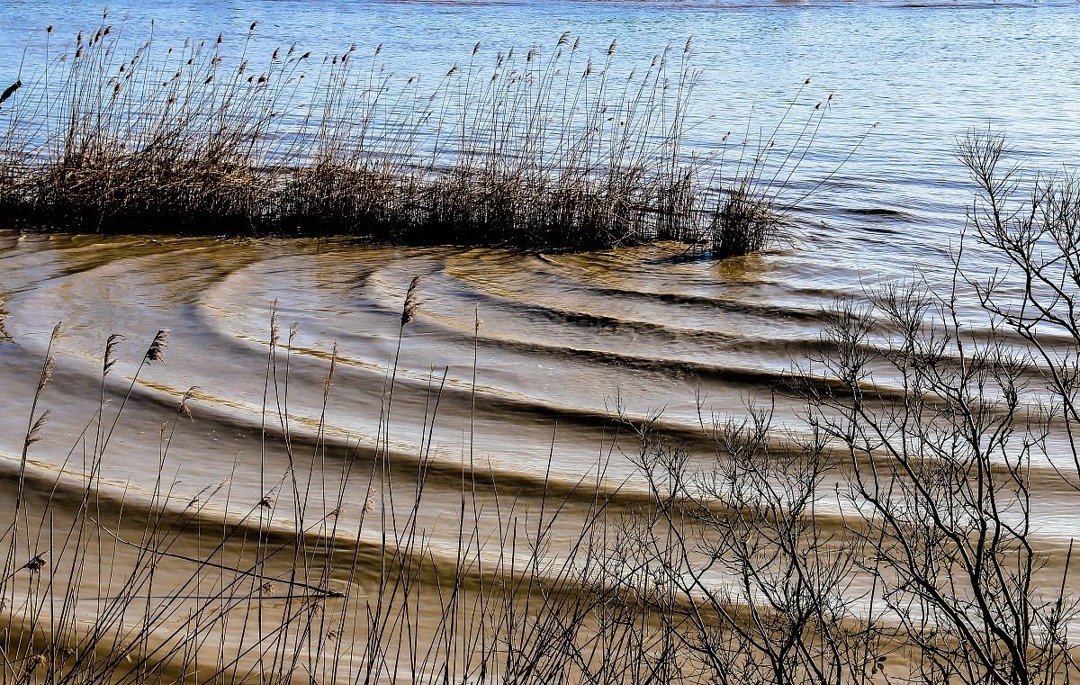 Il fiume Po e il suo Delta - Sacca di Scardovari