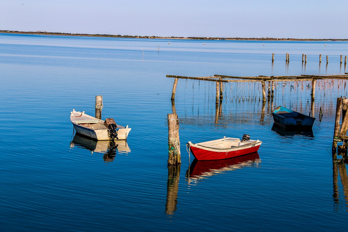 Il fiume Po e il suo Delta - Sacca di Scardovari