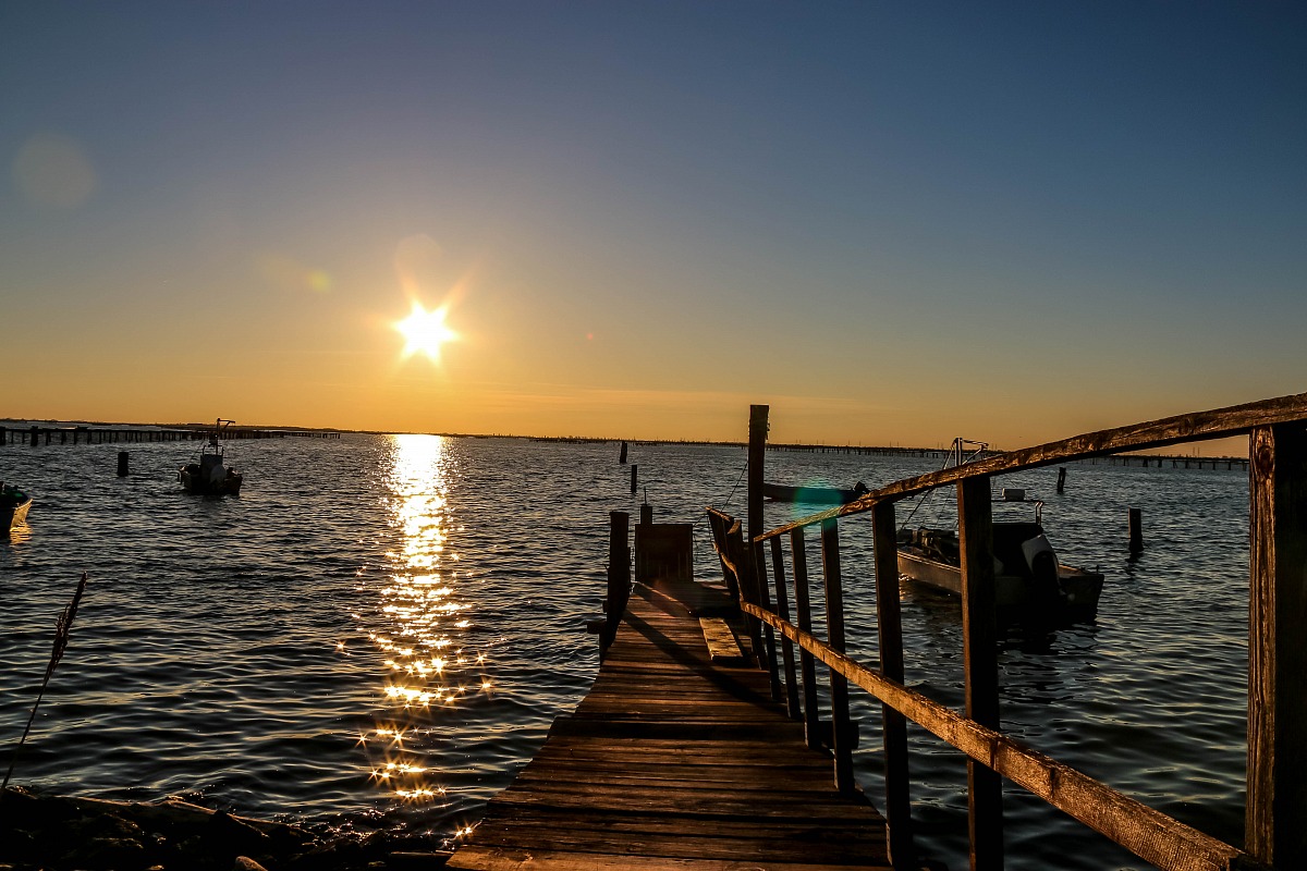 Il fiume Po e il suo Delta - Sacca di Scardovari