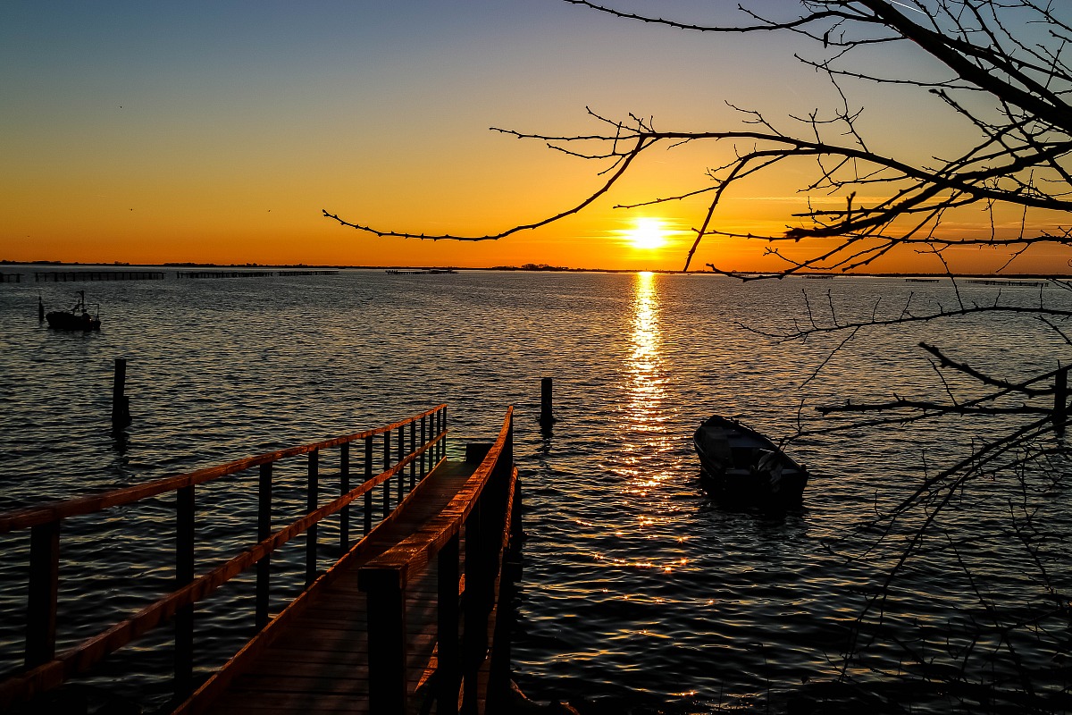 Il fiume Po e il suo Delta - Sacca di Scardovari
