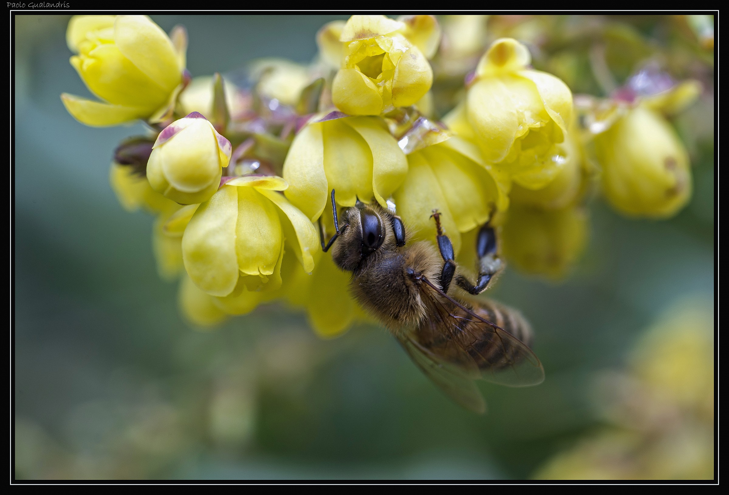 Spring ... Finally .. !!!