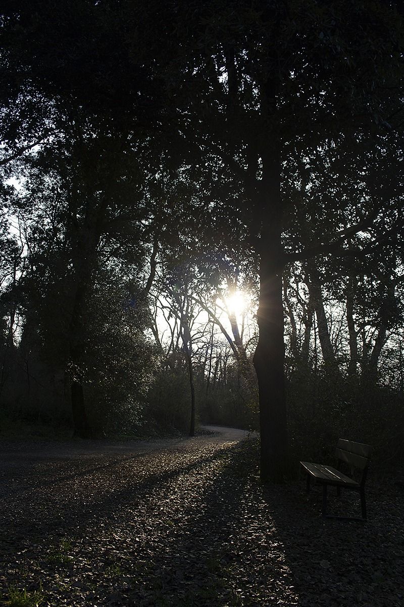 Sediamoci controluce