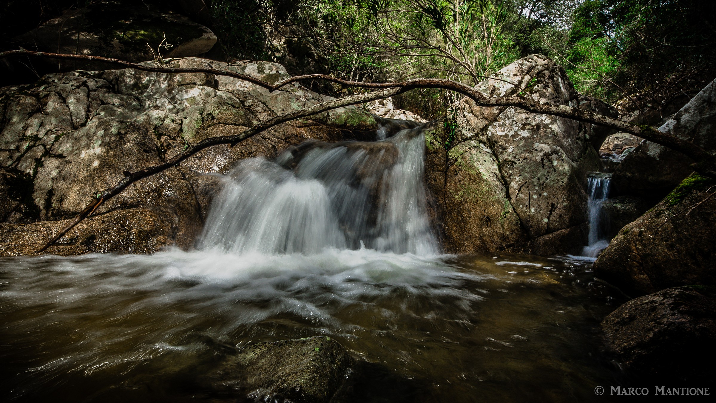Waterfall and Branch