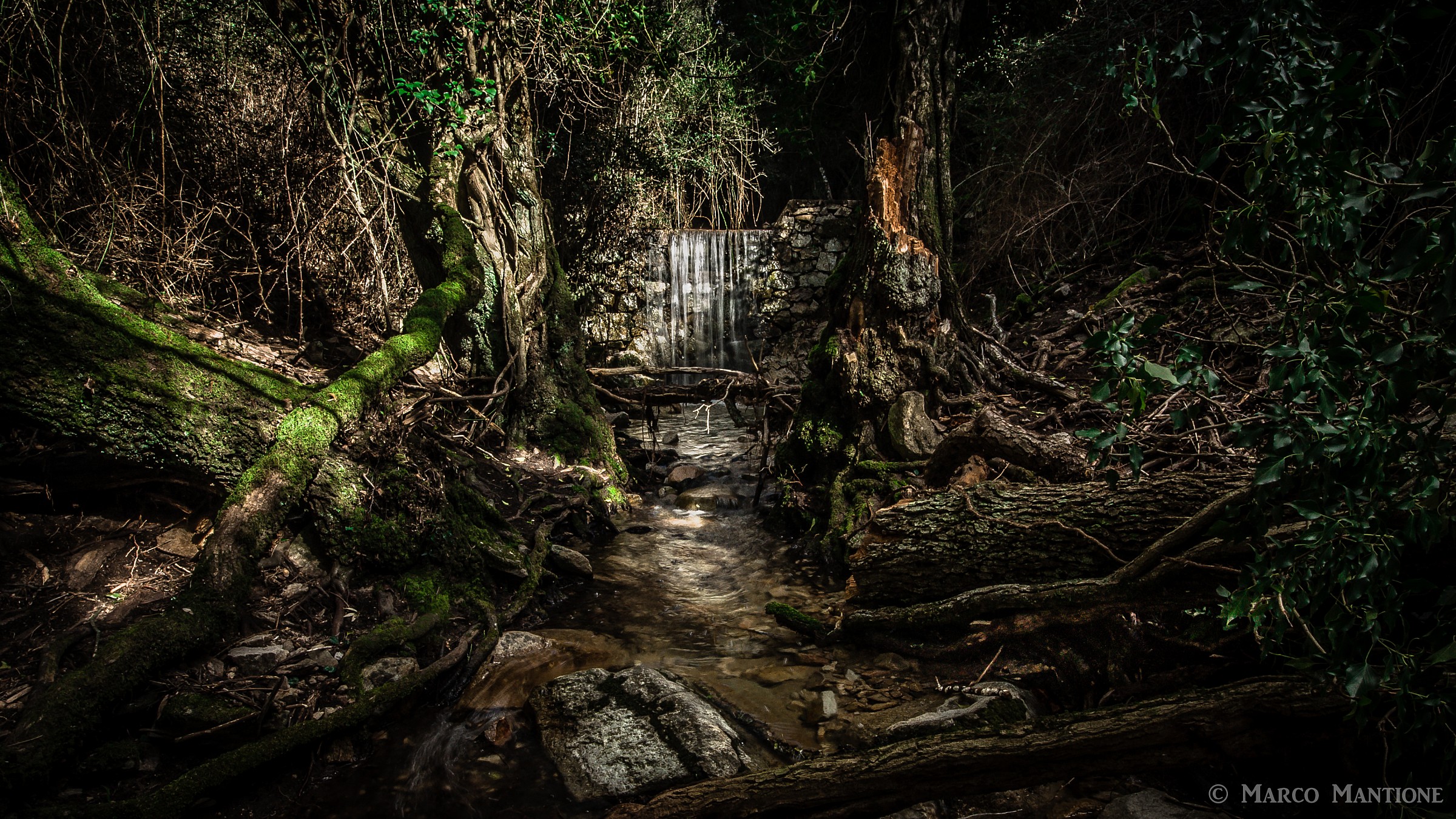 Welcome to the Jungle ...