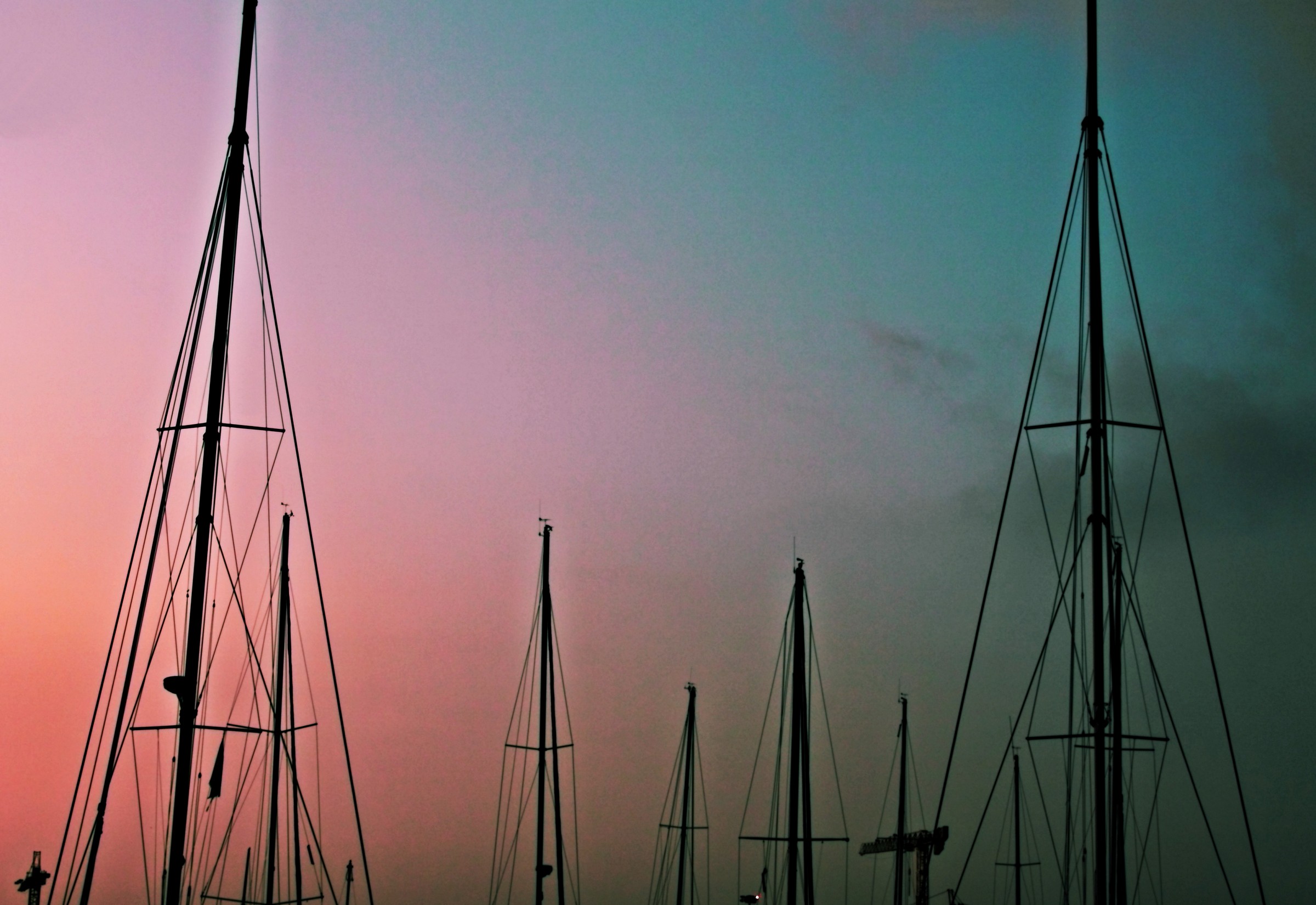 Fluttuando tra i colori