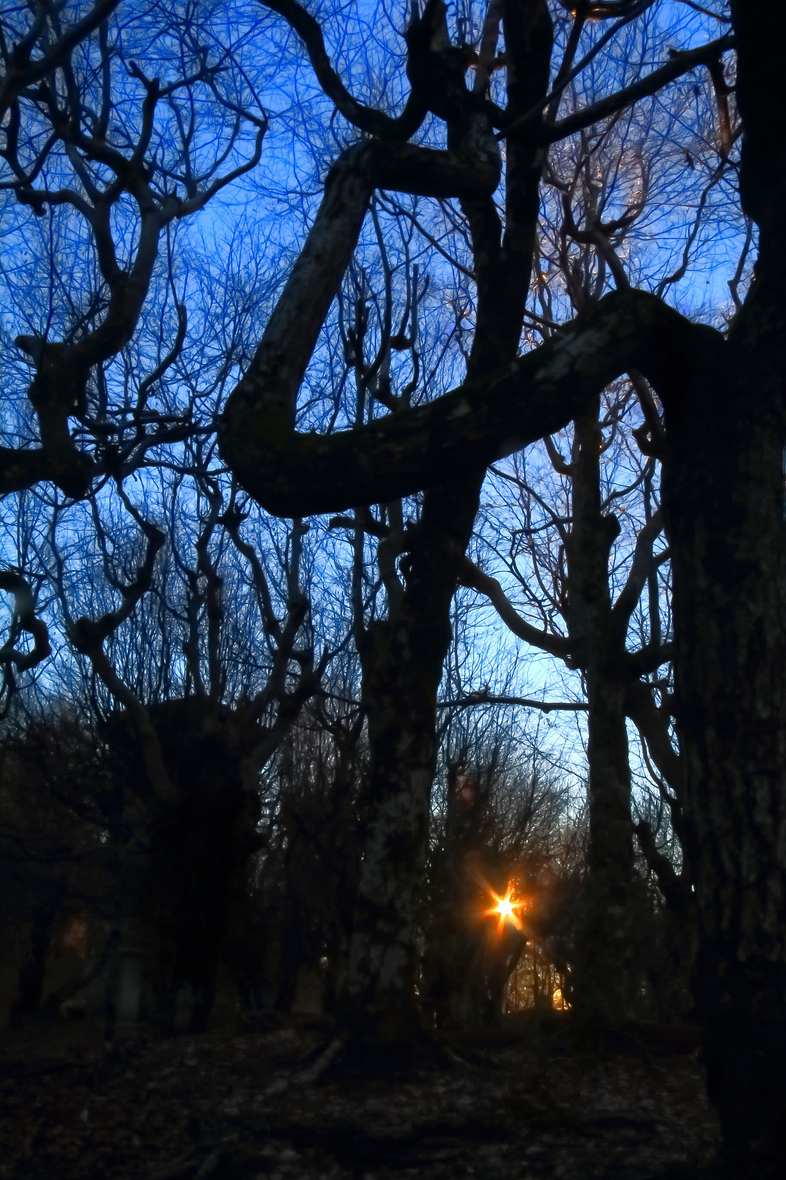 Ultimi raggi di sole