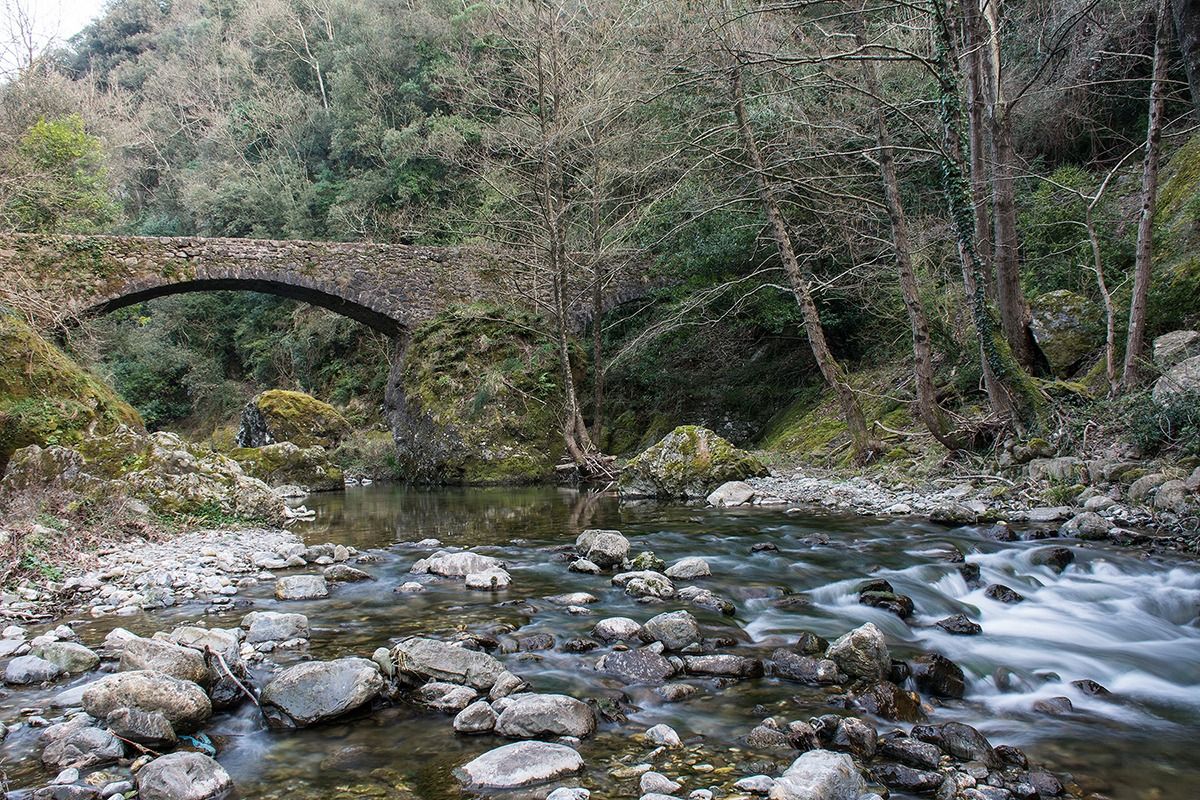 The Bridge on the River