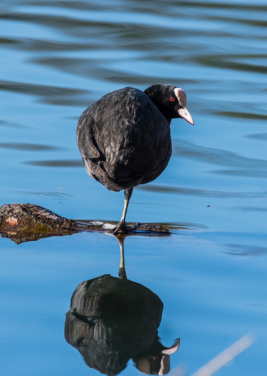 Ginnastica mattutina