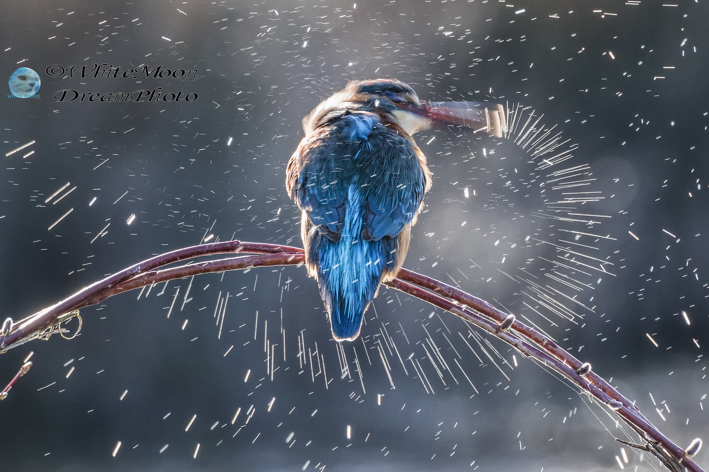 Martino ...tra scie luminose