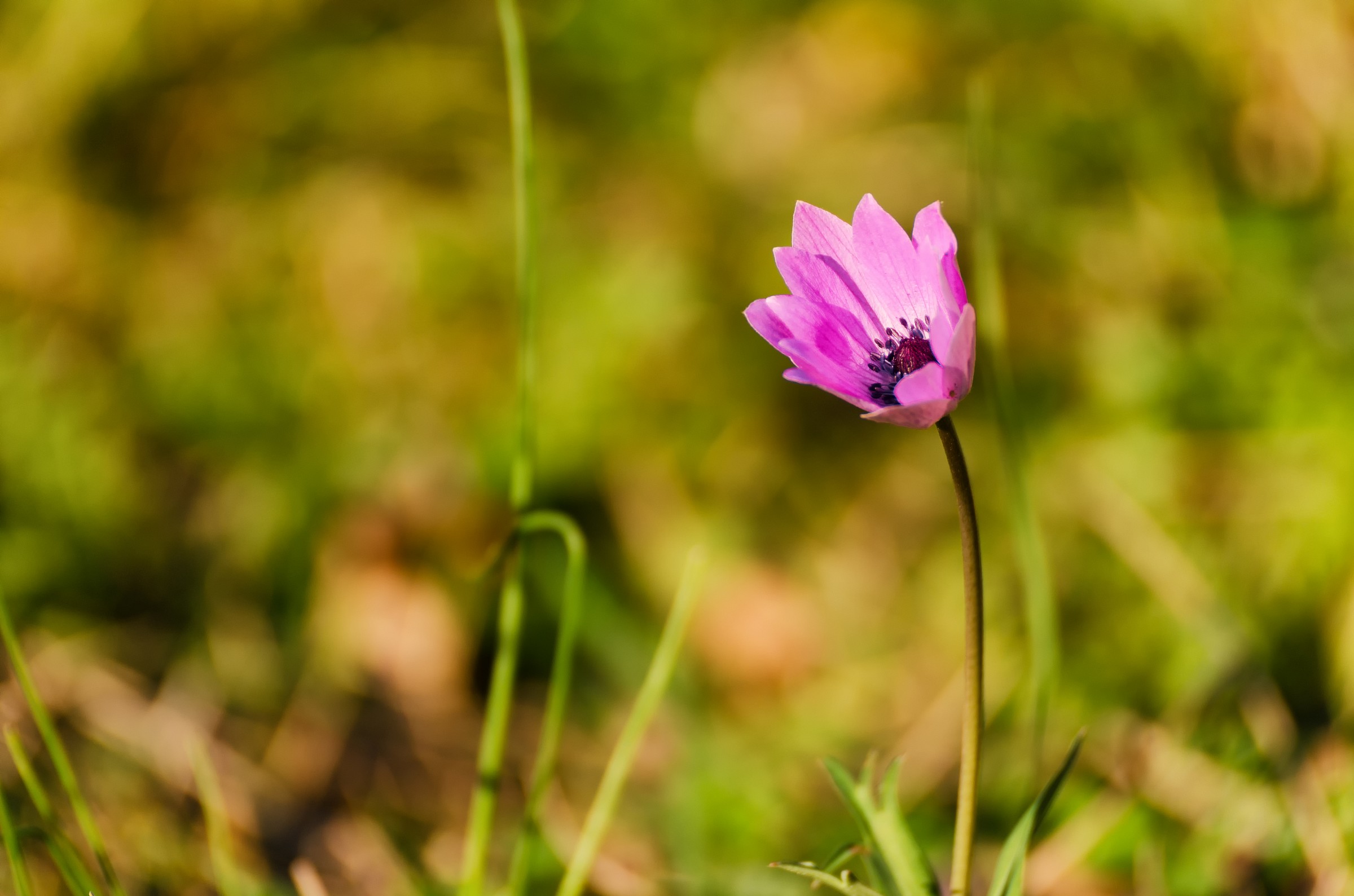 prima di tramonto...