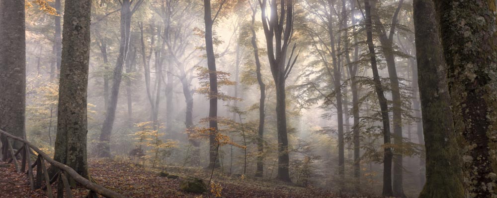 Soriano al Cimino (viterbo),